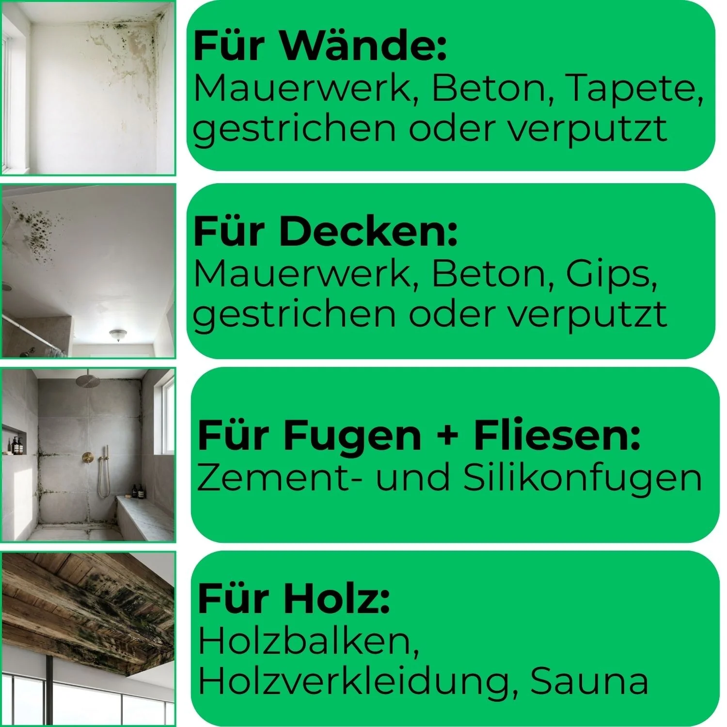 Vorschaubild 19