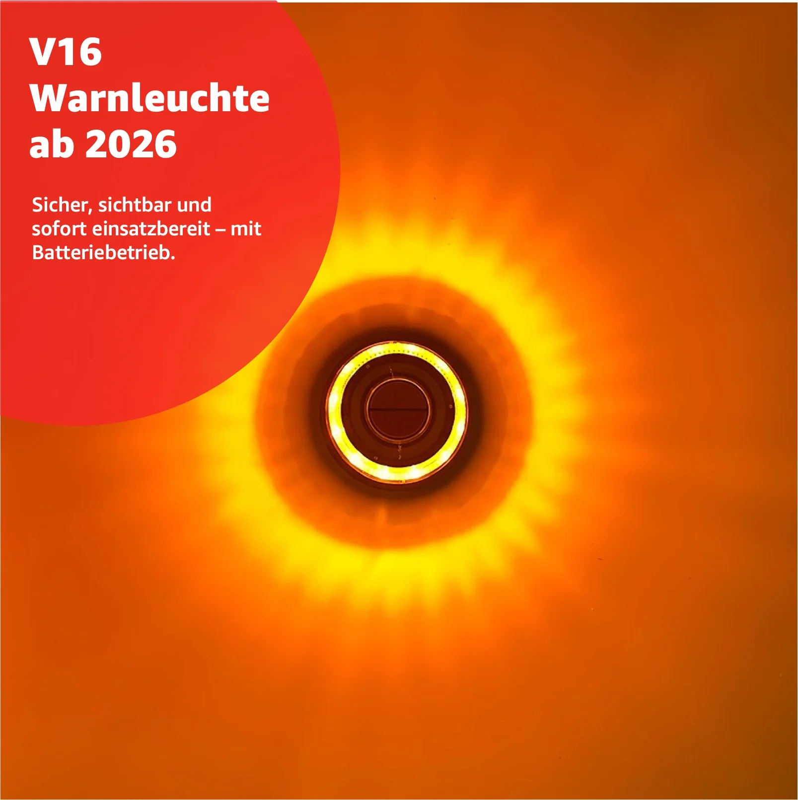Vorschaubild 14