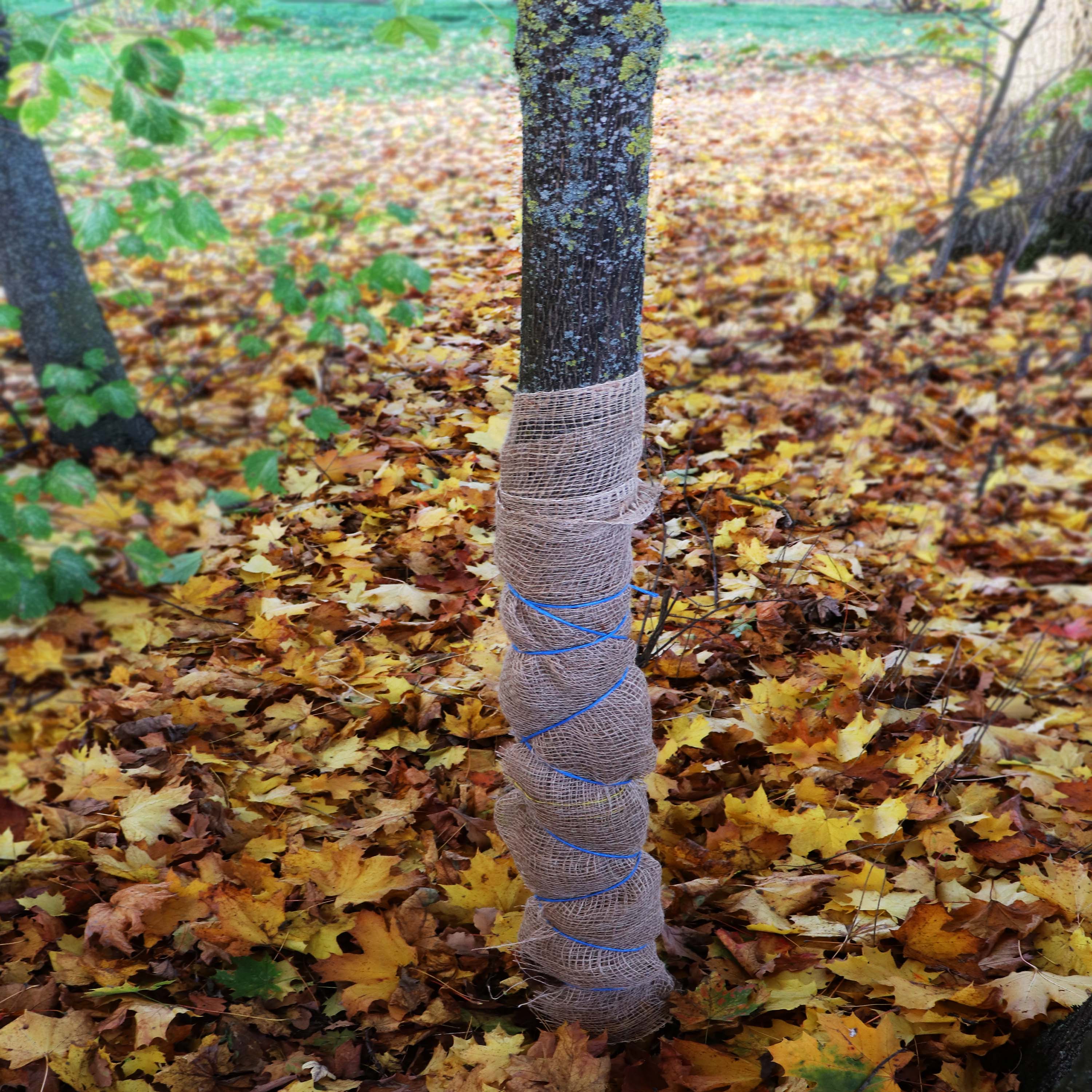 Vorschaubild 129
