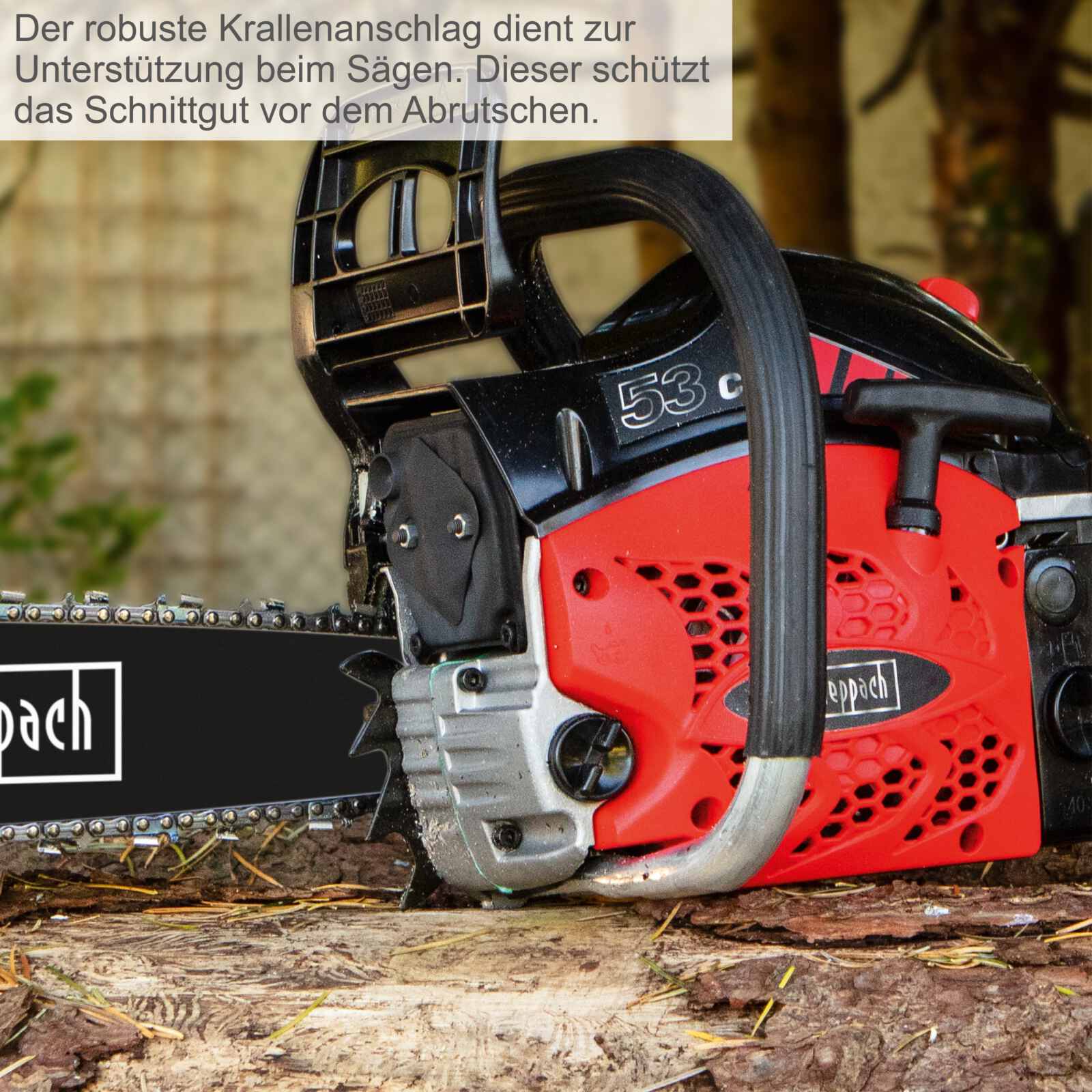 Vorschaubild 10
