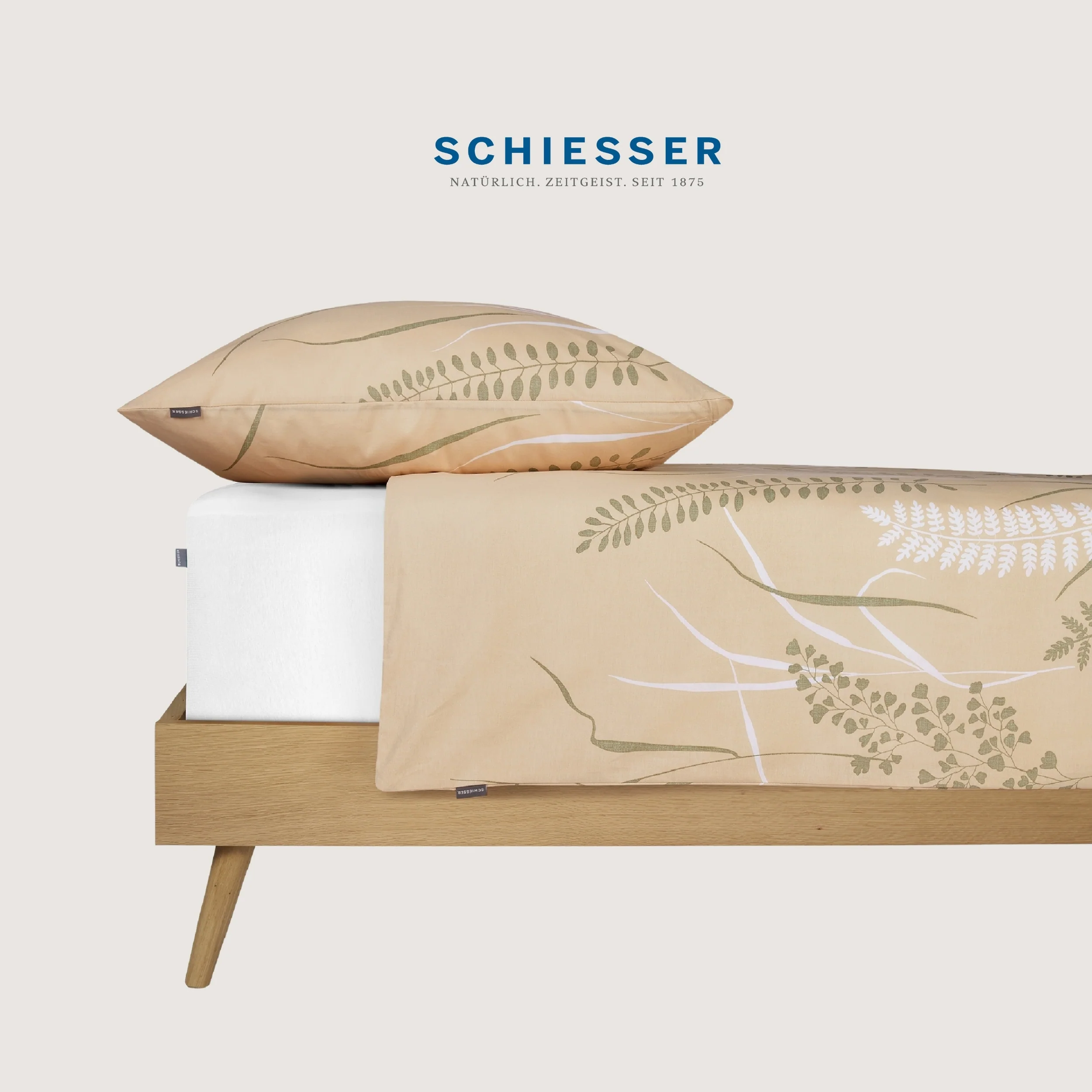 Vorschaubild 11