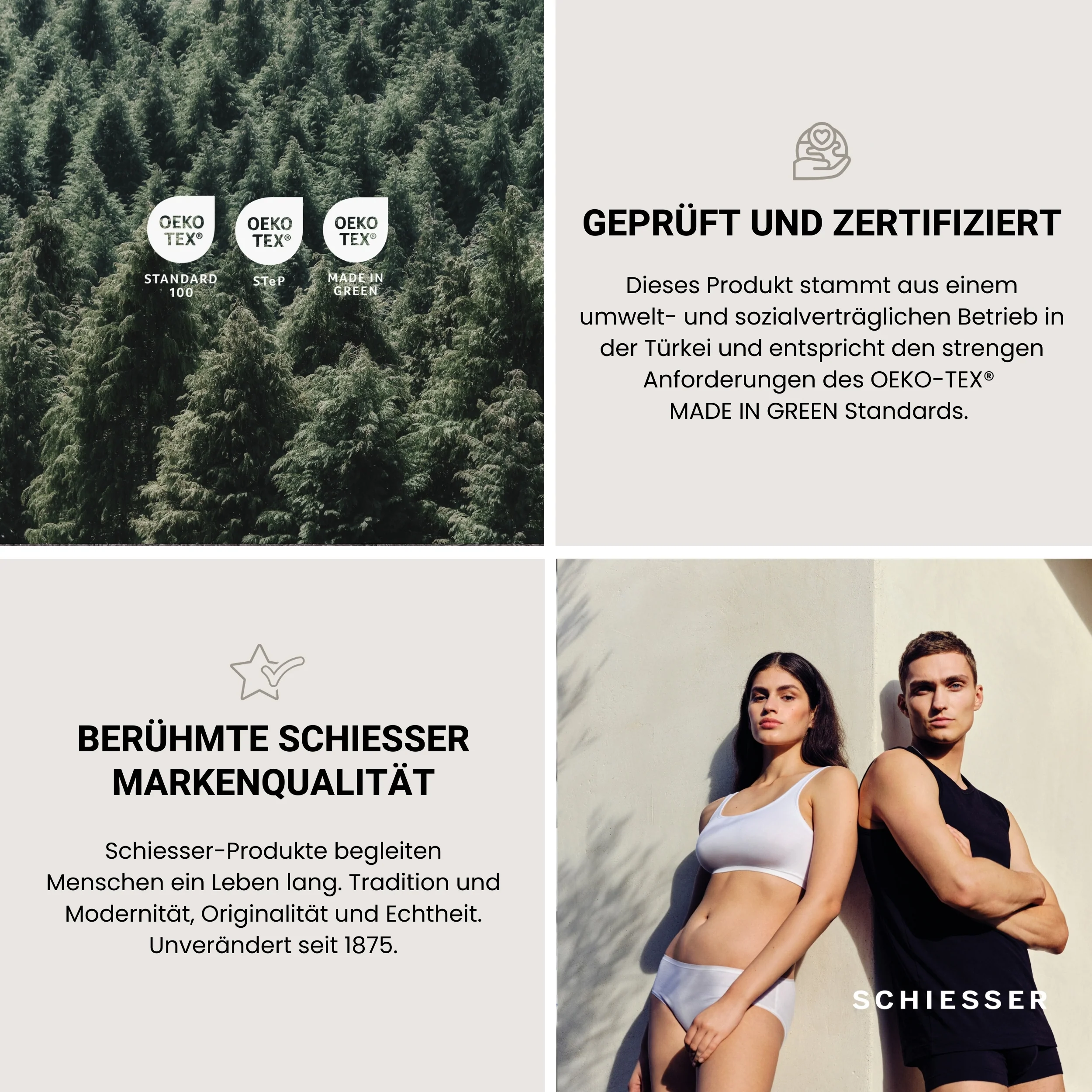 Vorschaubild 7