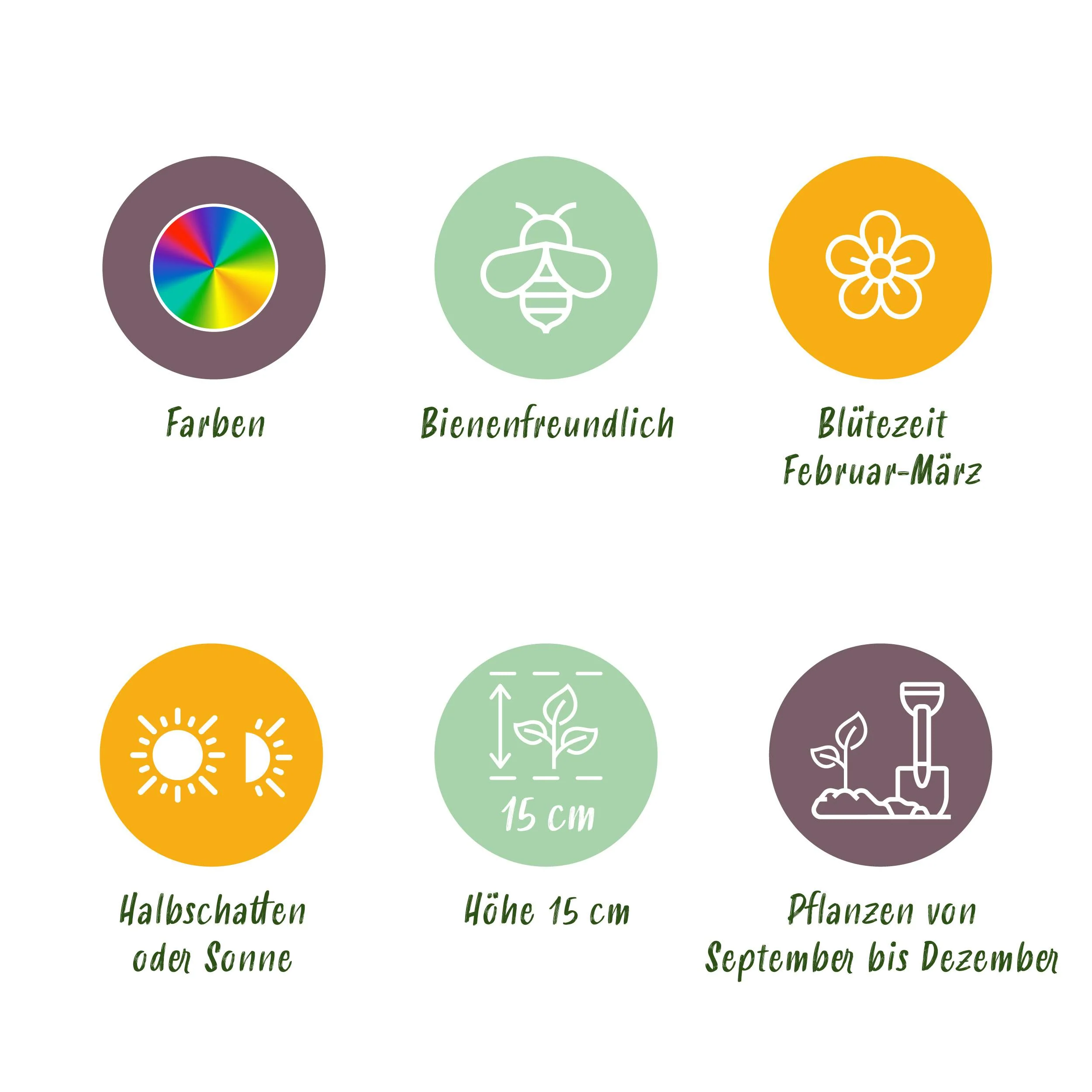 Vorschaubild 5