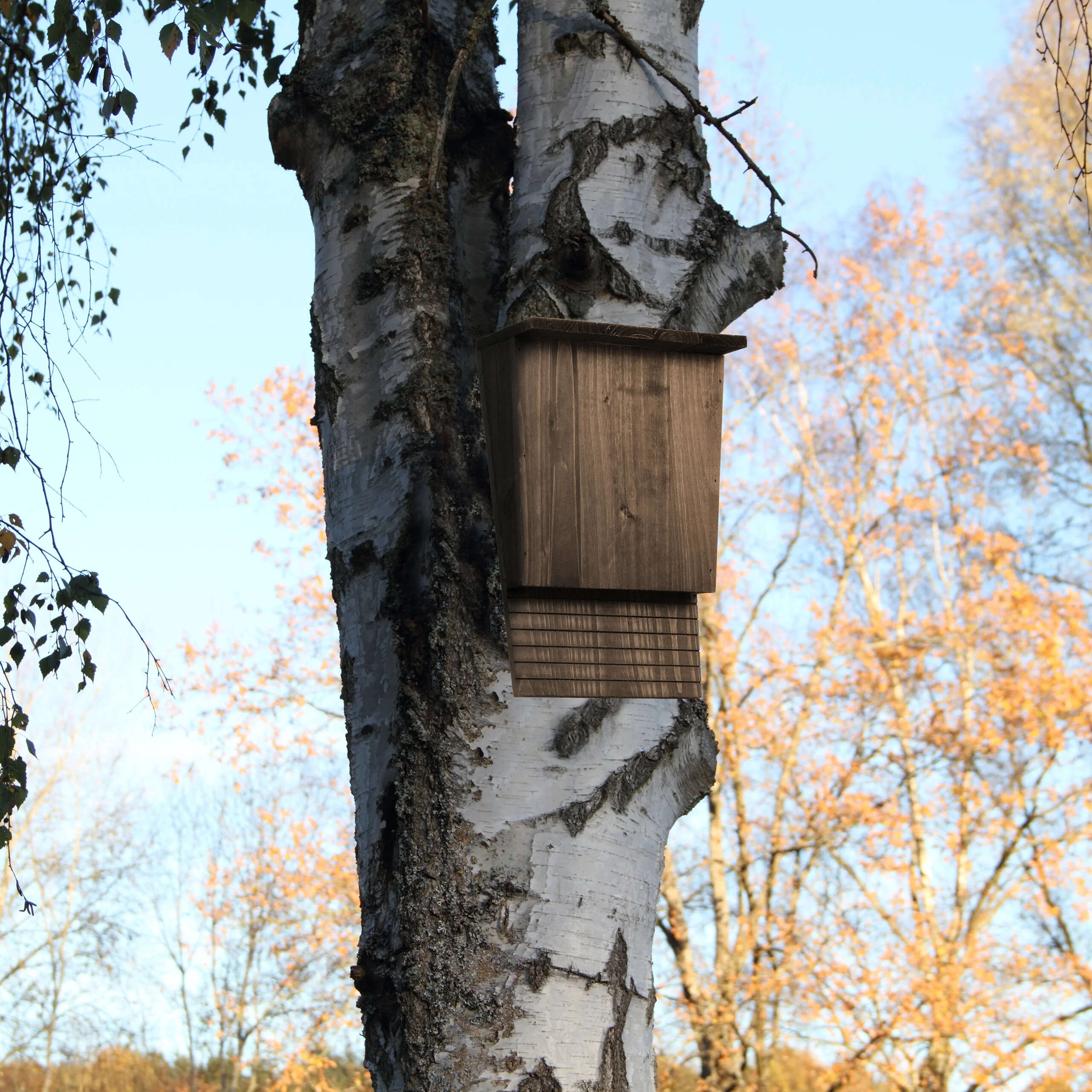 Vorschaubild 2