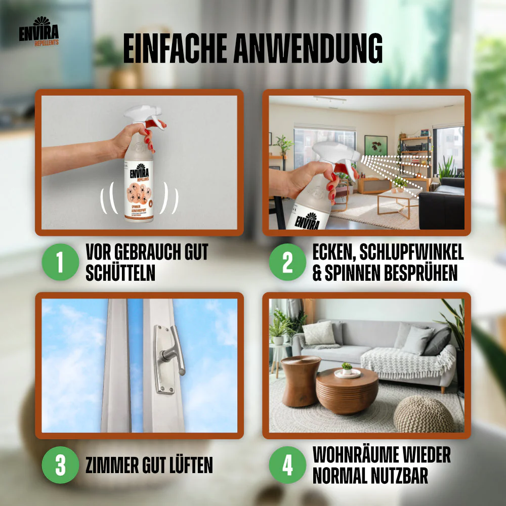 Vorschaubild 6