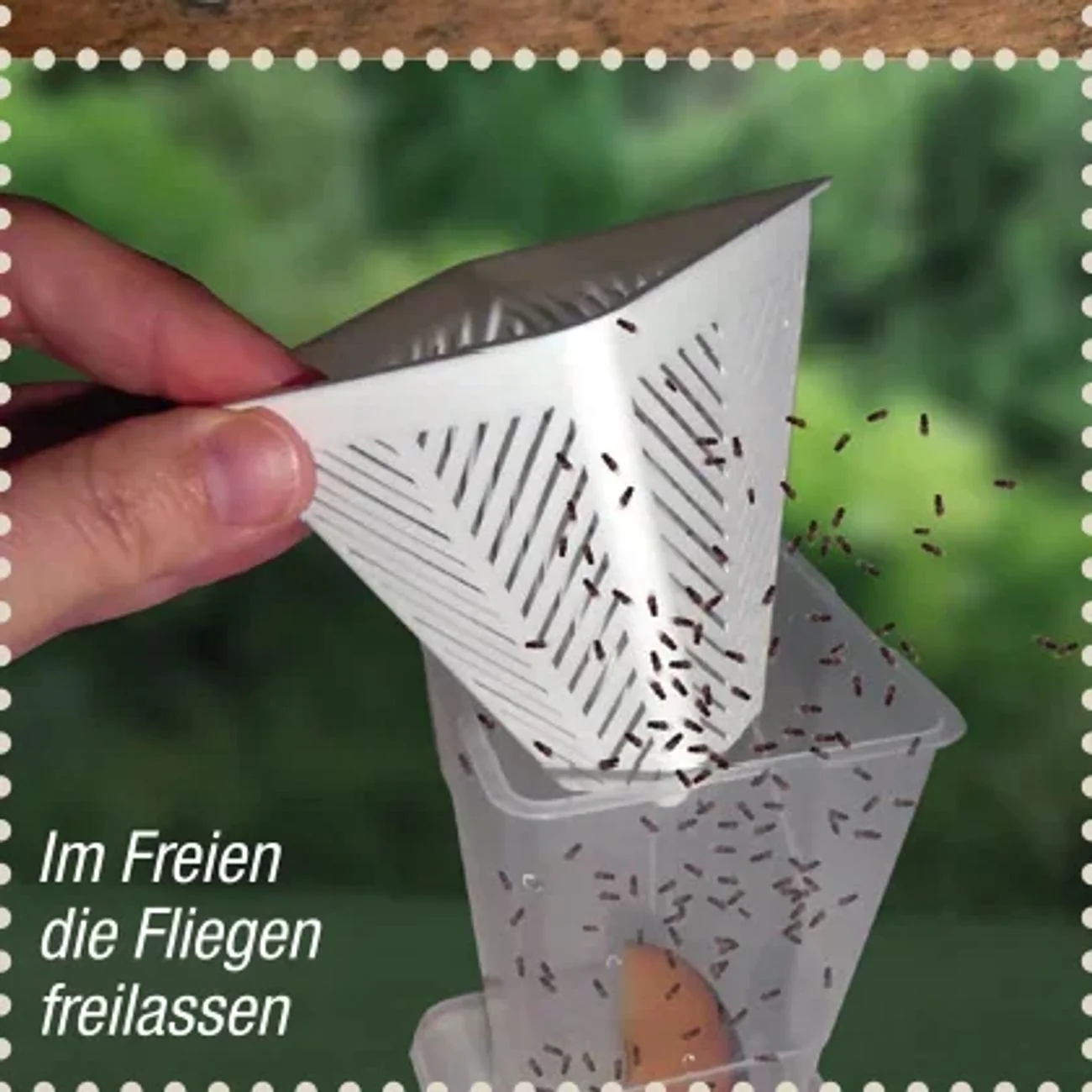 Vorschaubild 10