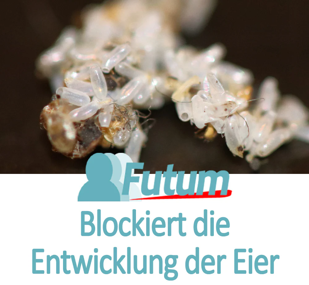 Vorschaubild 29