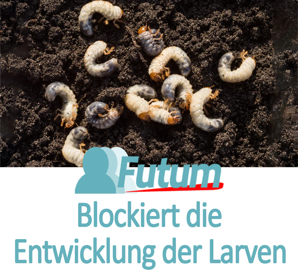 Vorschaubild 33
