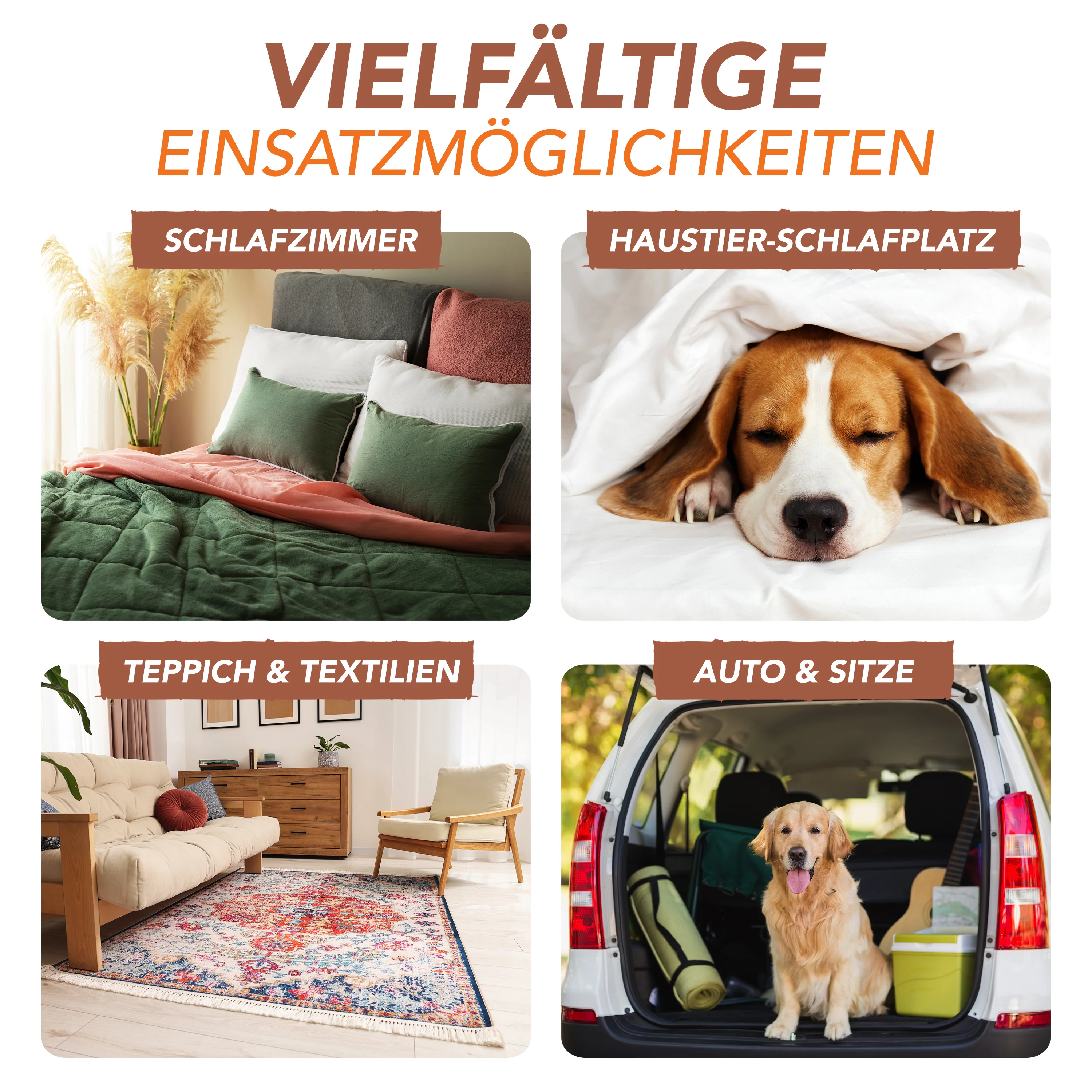 Vorschaubild 8