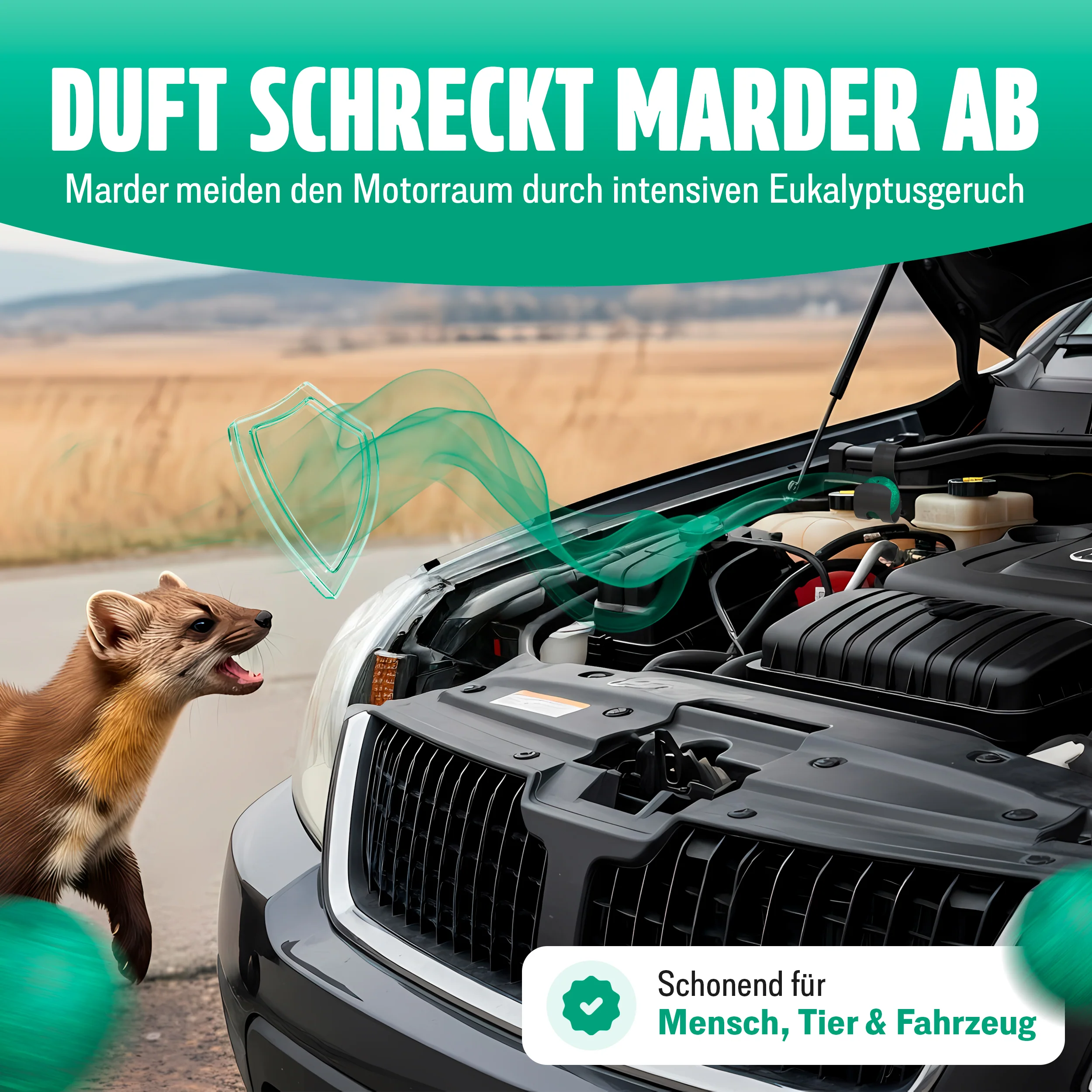 Vorschaubild 6