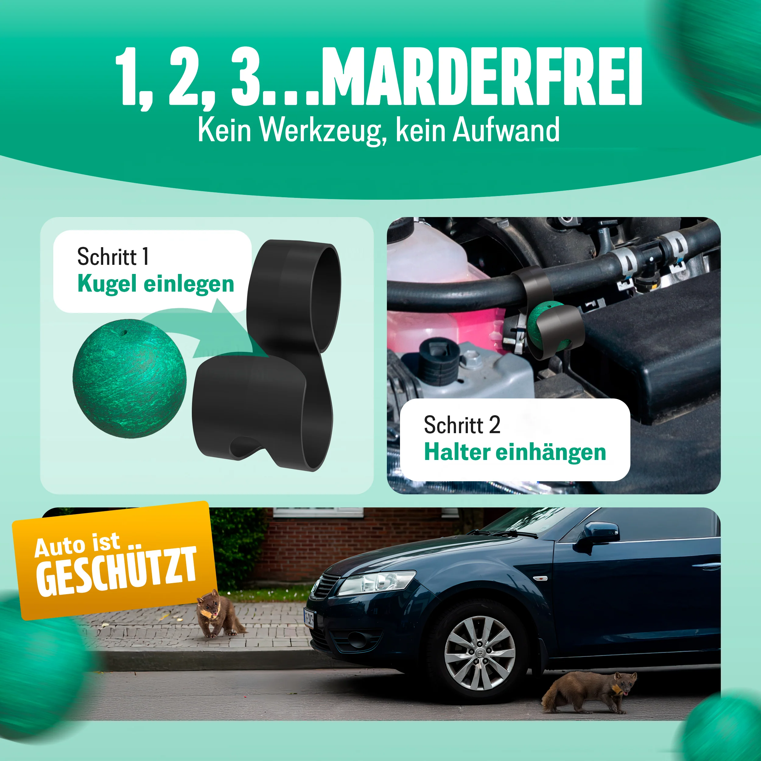 Vorschaubild 7