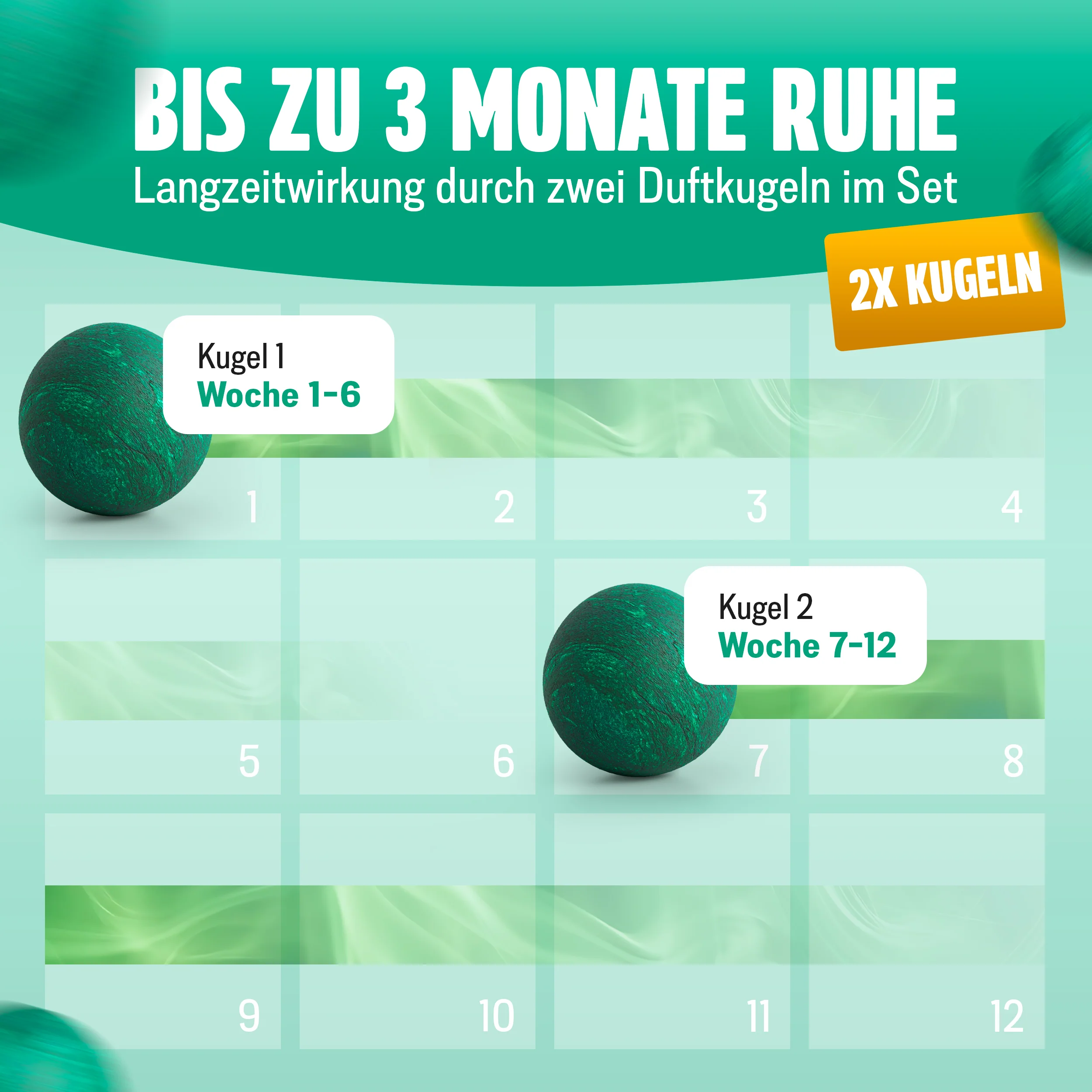 Vorschaubild 8