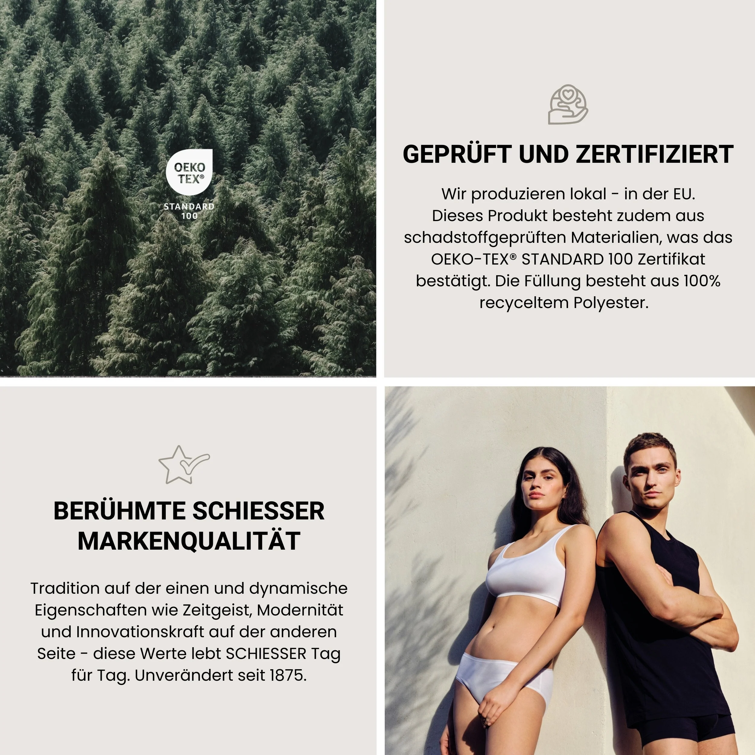 Vorschaubild 8