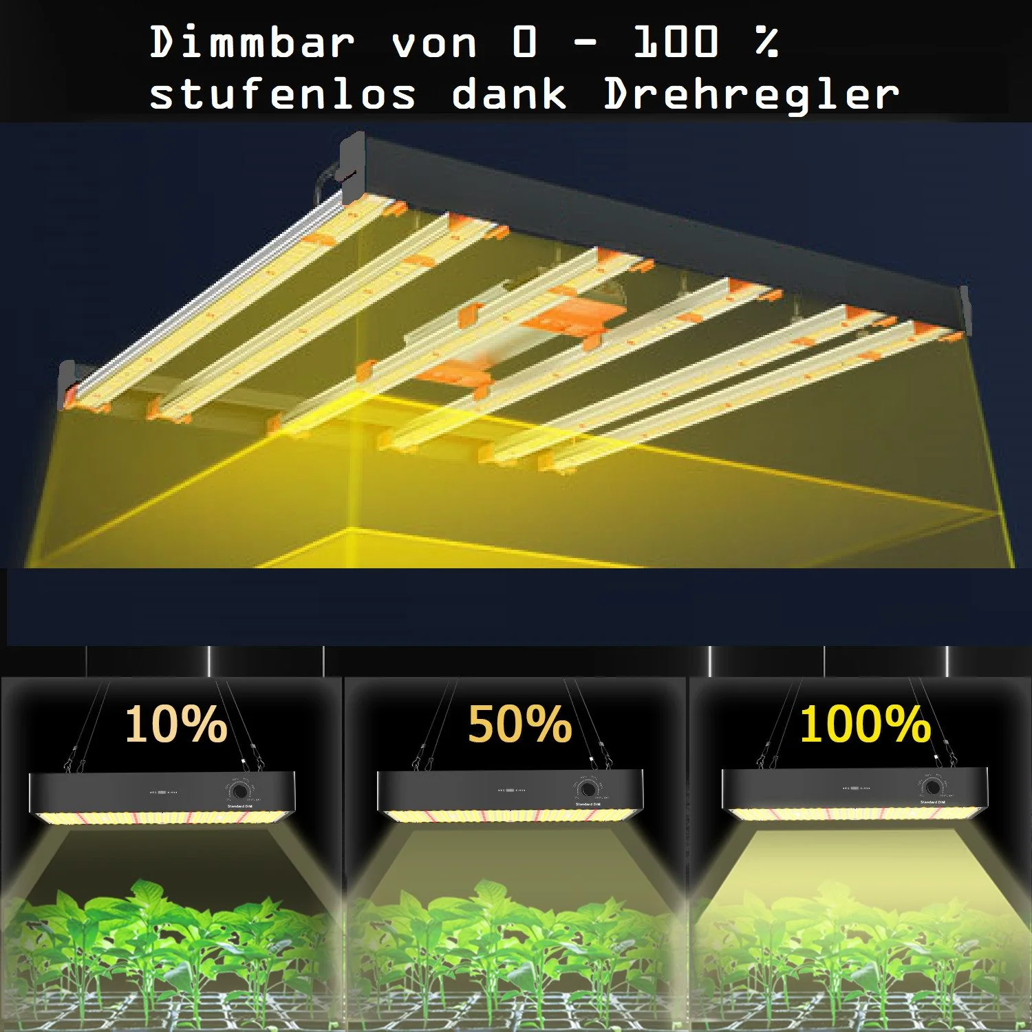Vorschaubild 10