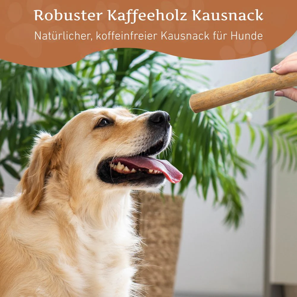 Vorschaubild 22