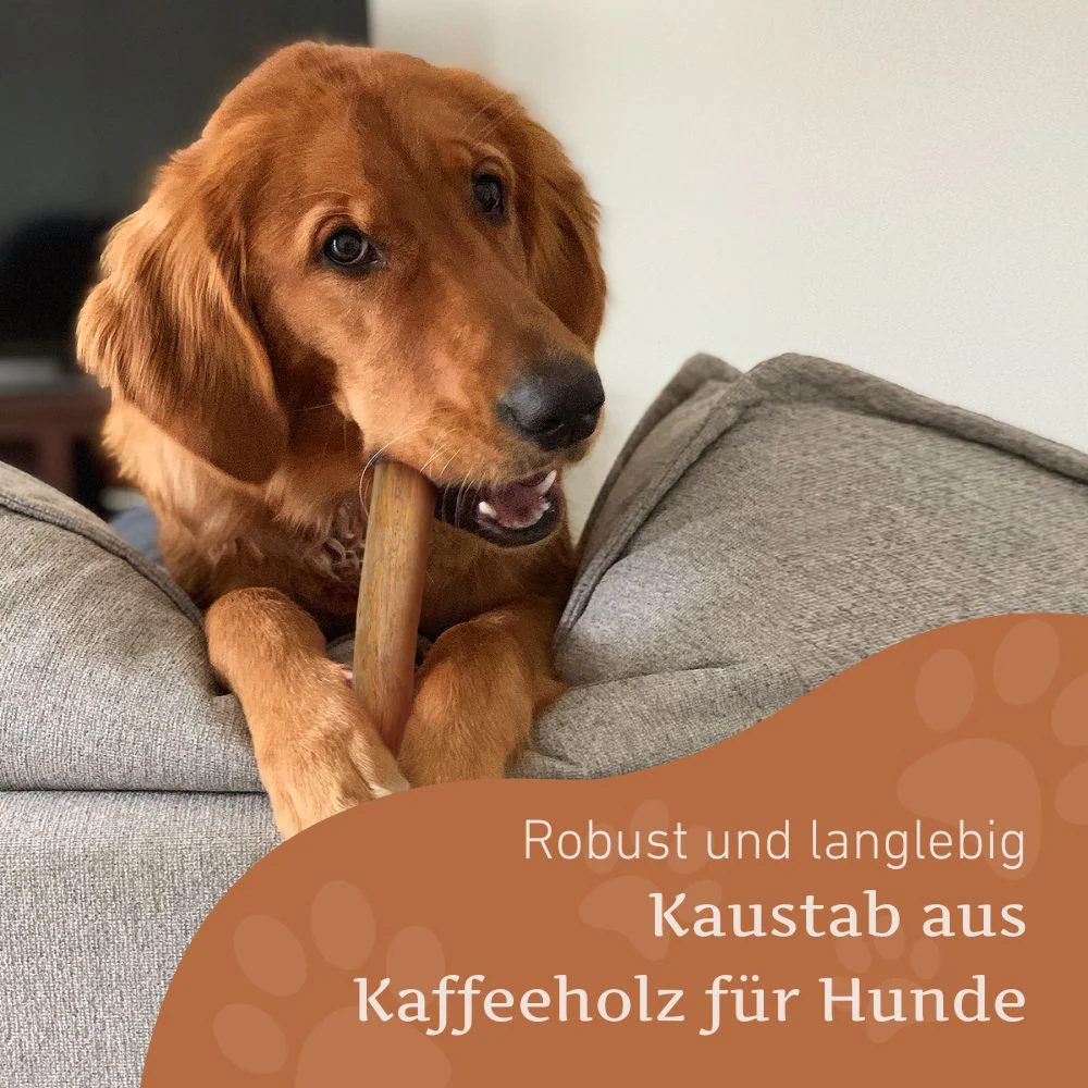 Vorschaubild 25