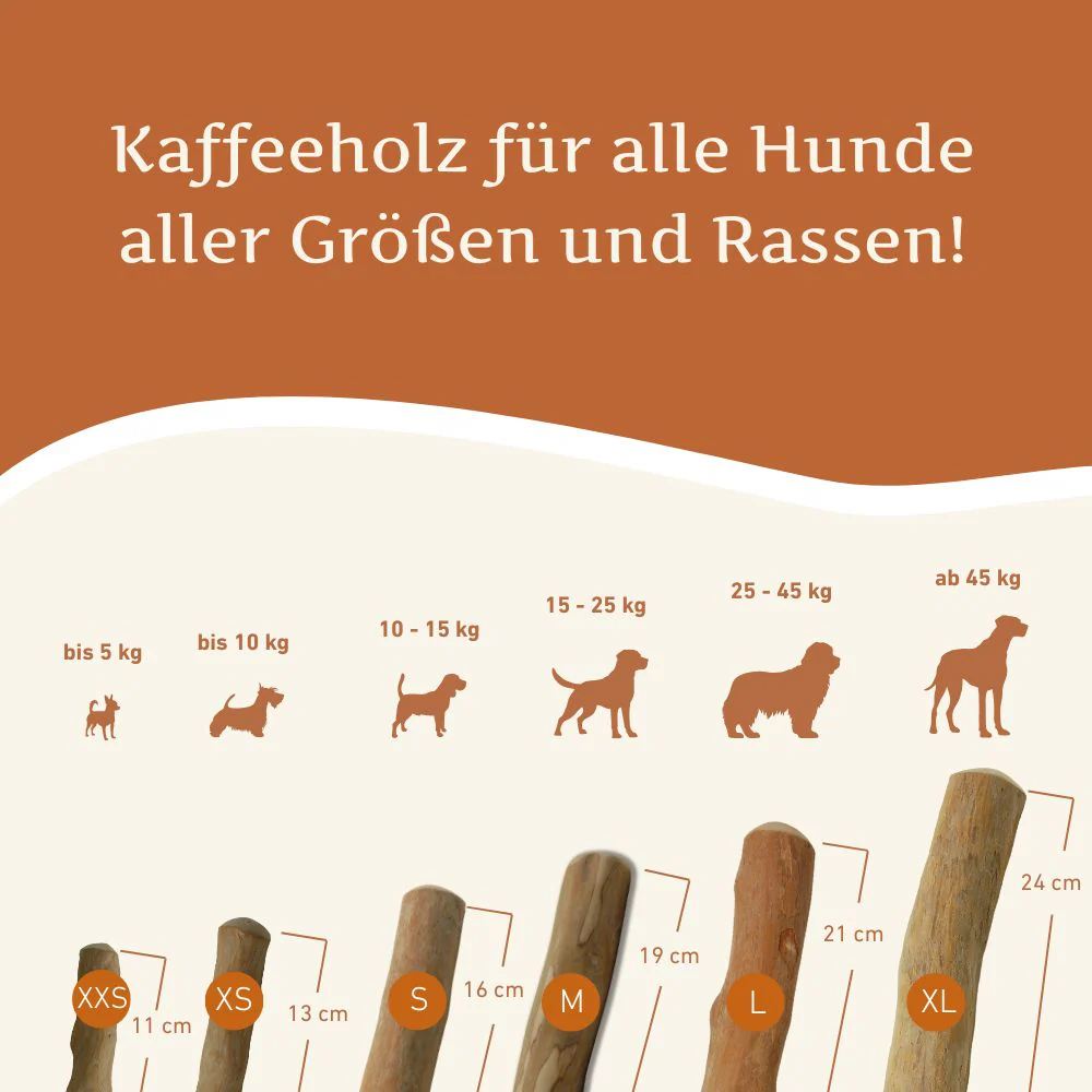 Vorschaubild 33