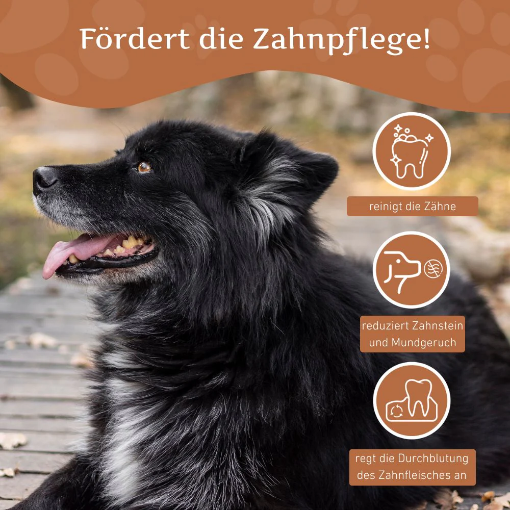 Vorschaubild 28
