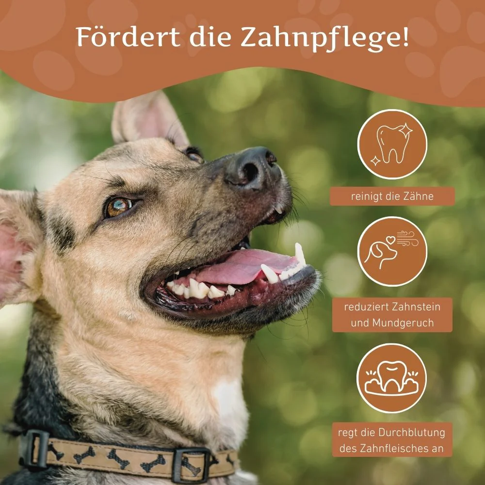 Vorschaubild 12