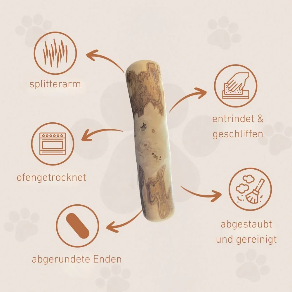 Vorschaubild 13