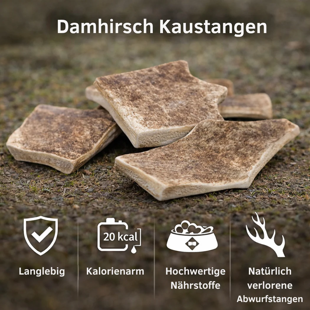 Vorschaubild 12