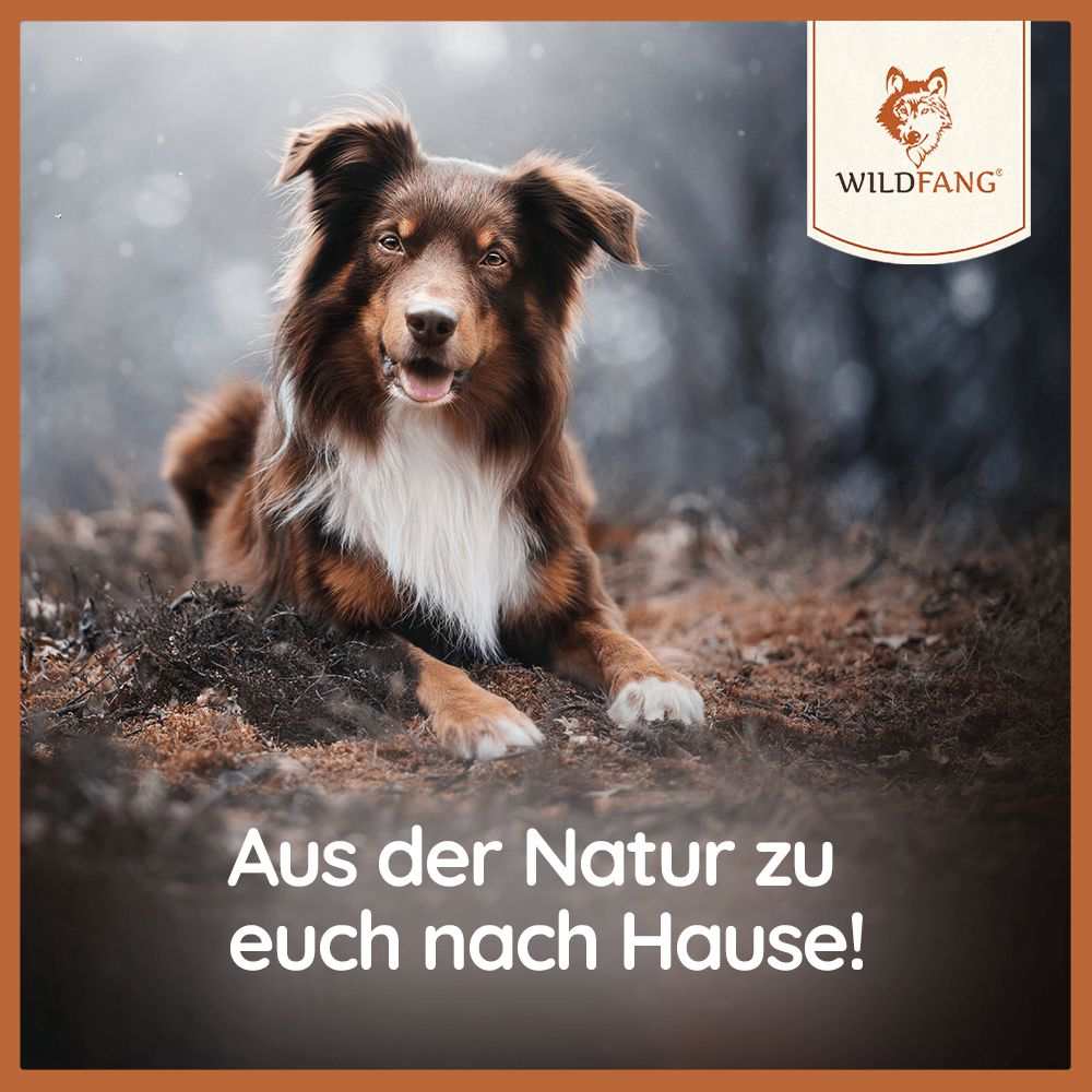 Vorschaubild 9