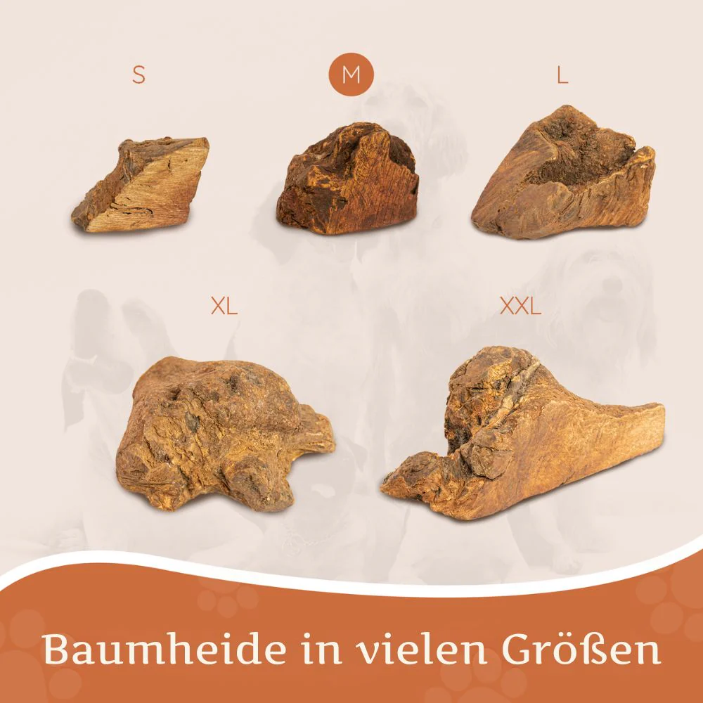 Vorschaubild 18