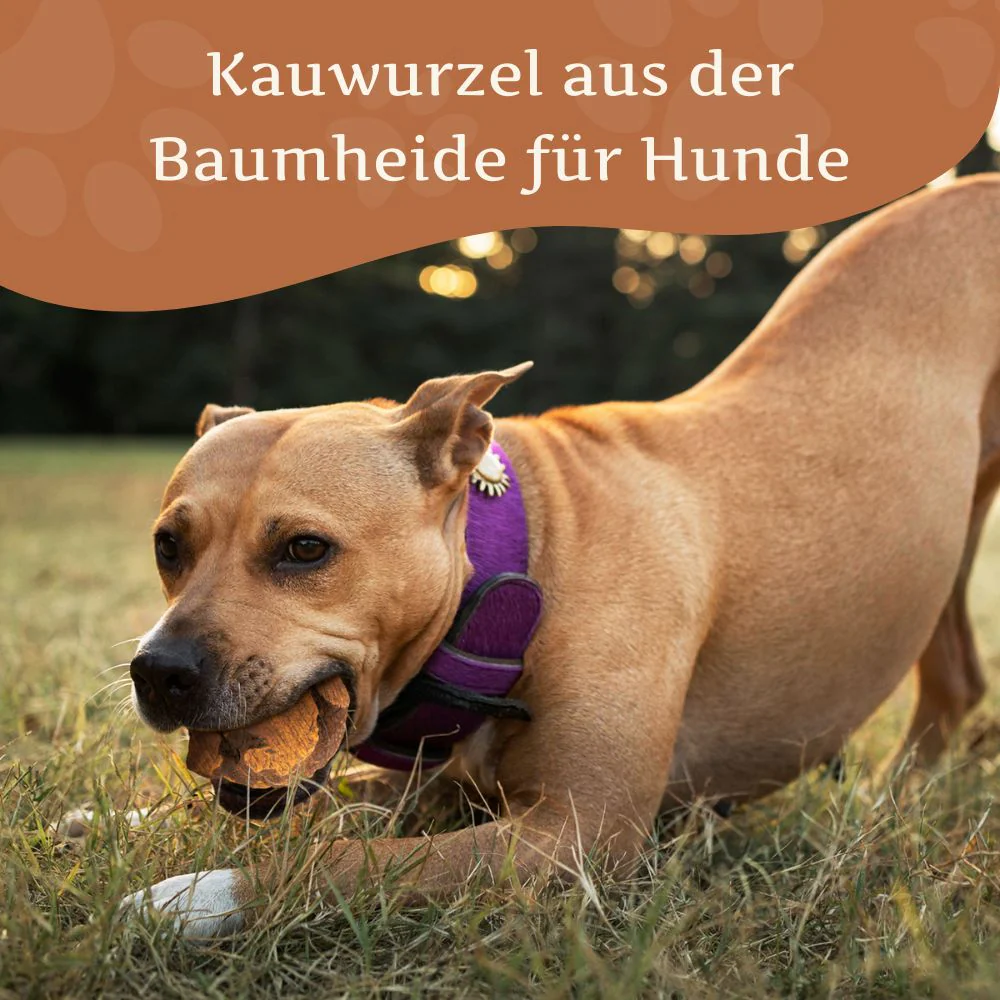 Vorschaubild 20