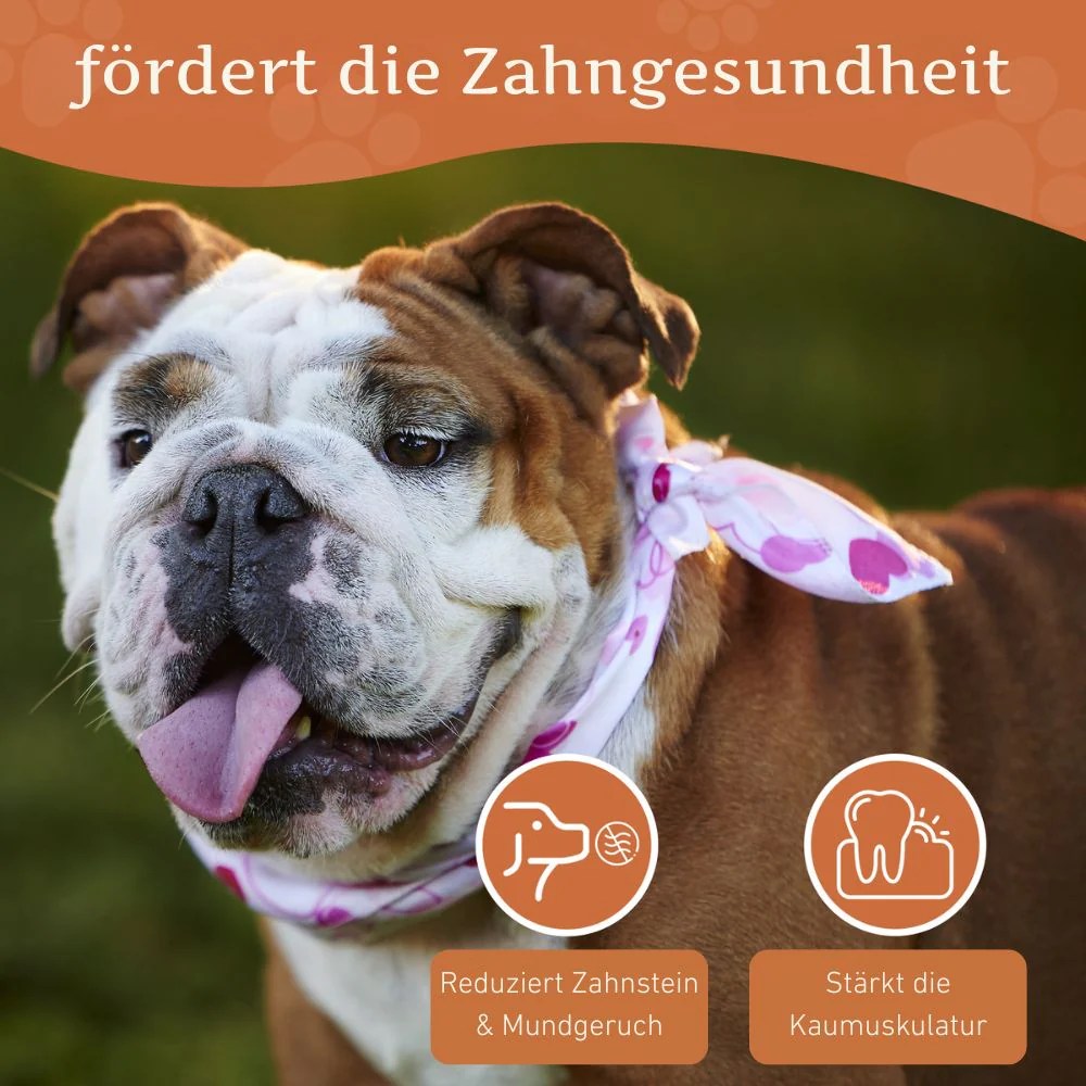 Vorschaubild 54