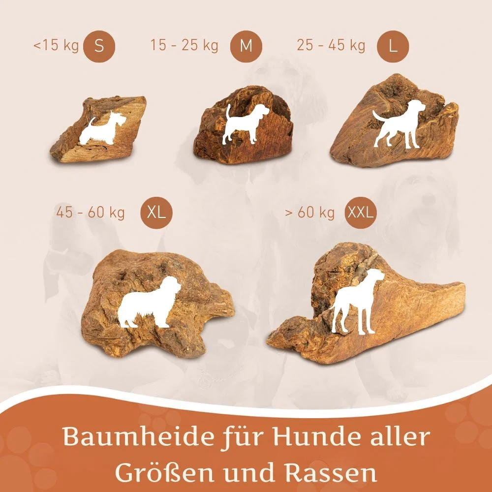 Vorschaubild 82