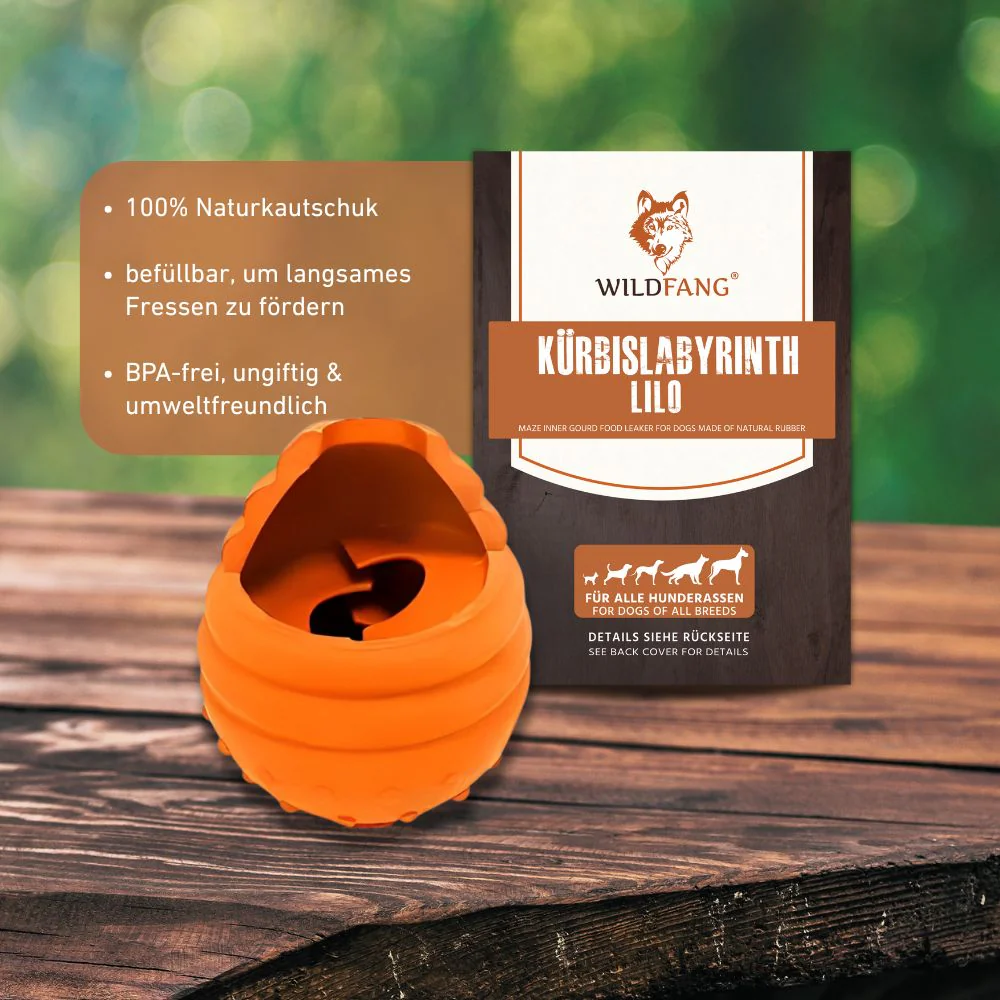 Vorschaubild 4