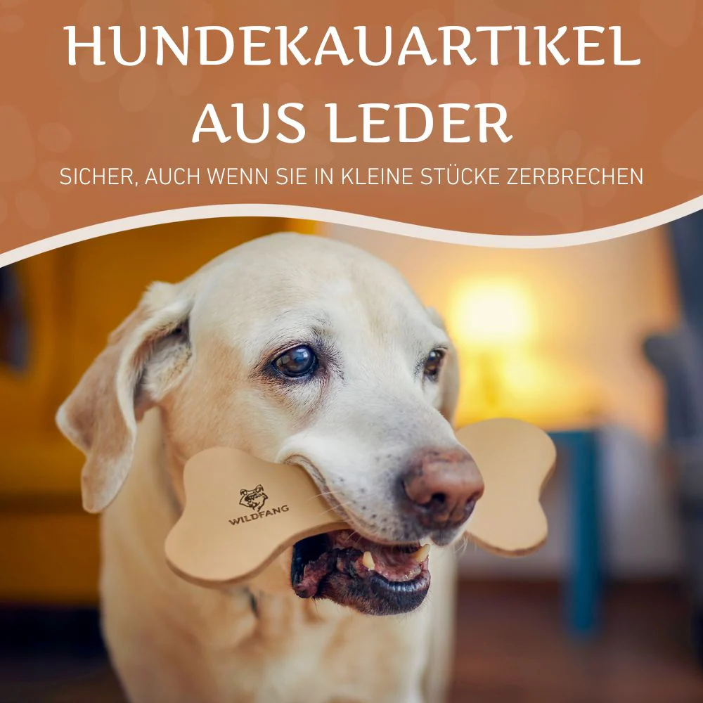 Vorschaubild 17