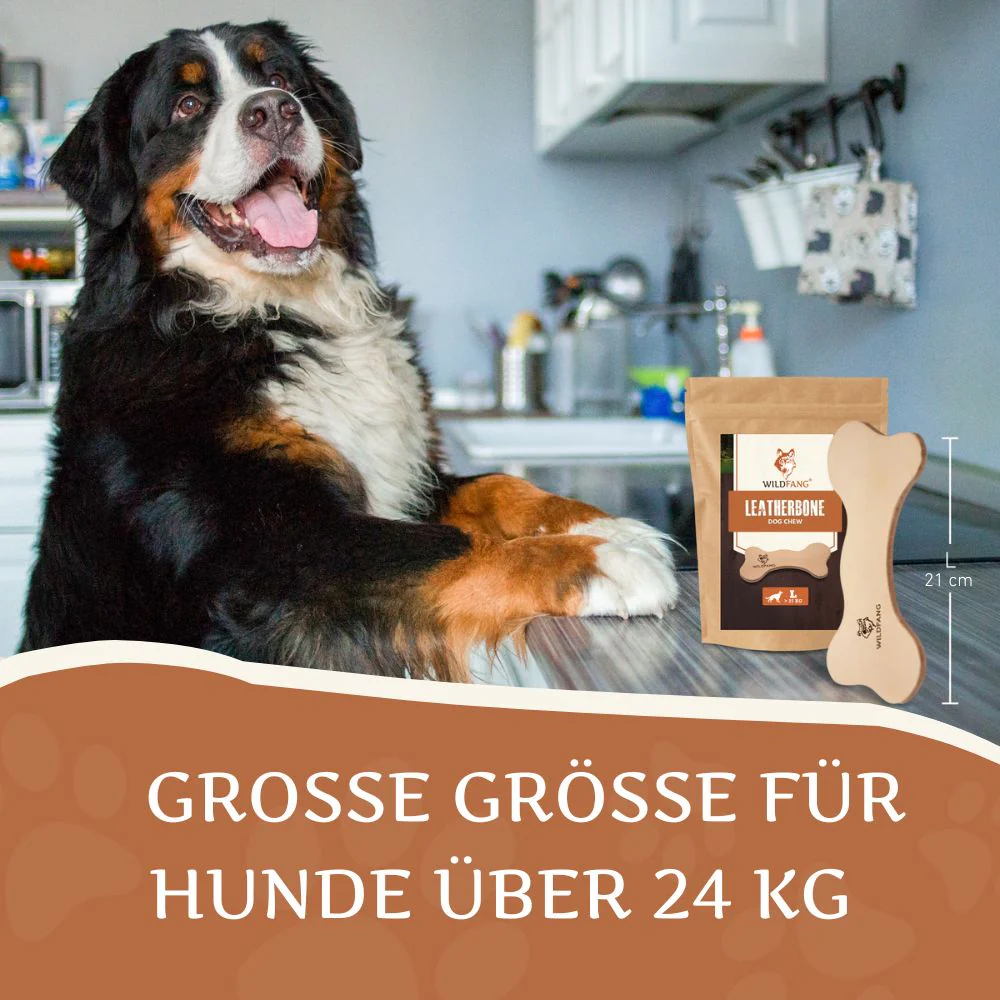 Vorschaubild 7