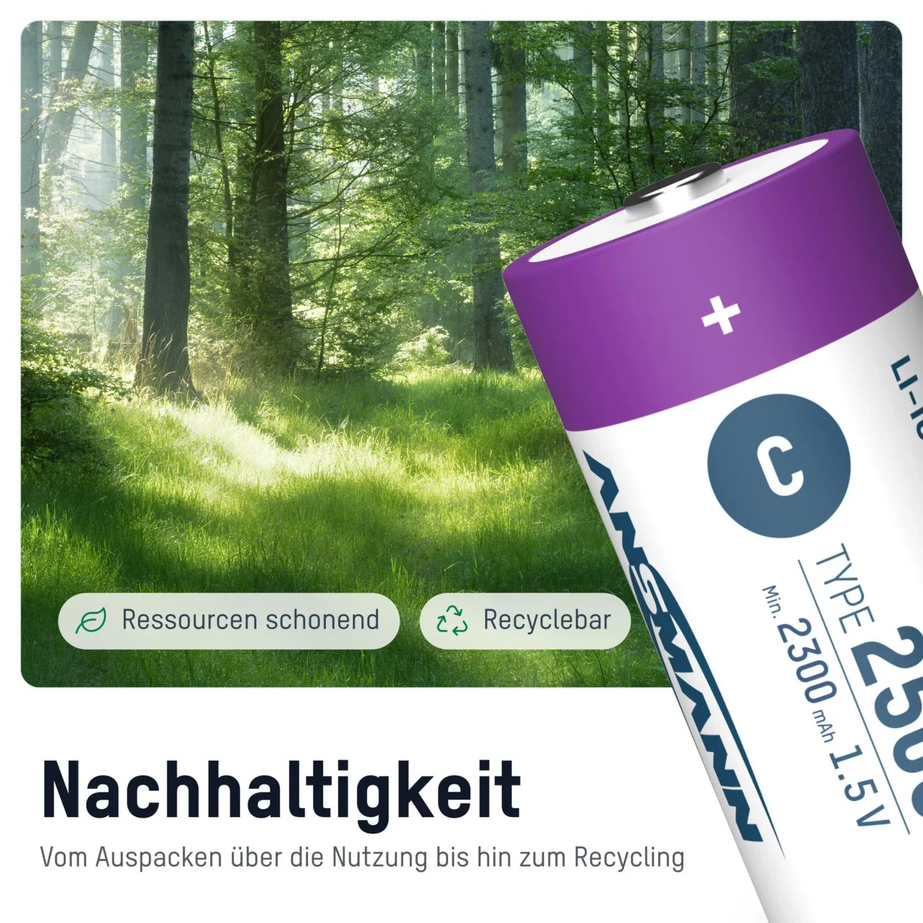 Vorschaubild 5