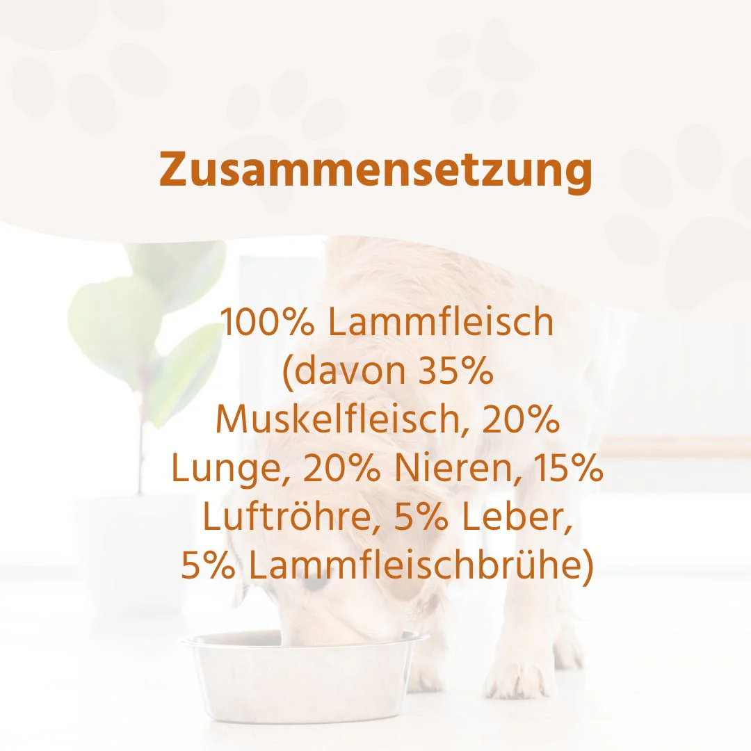 Vorschaubild 59
