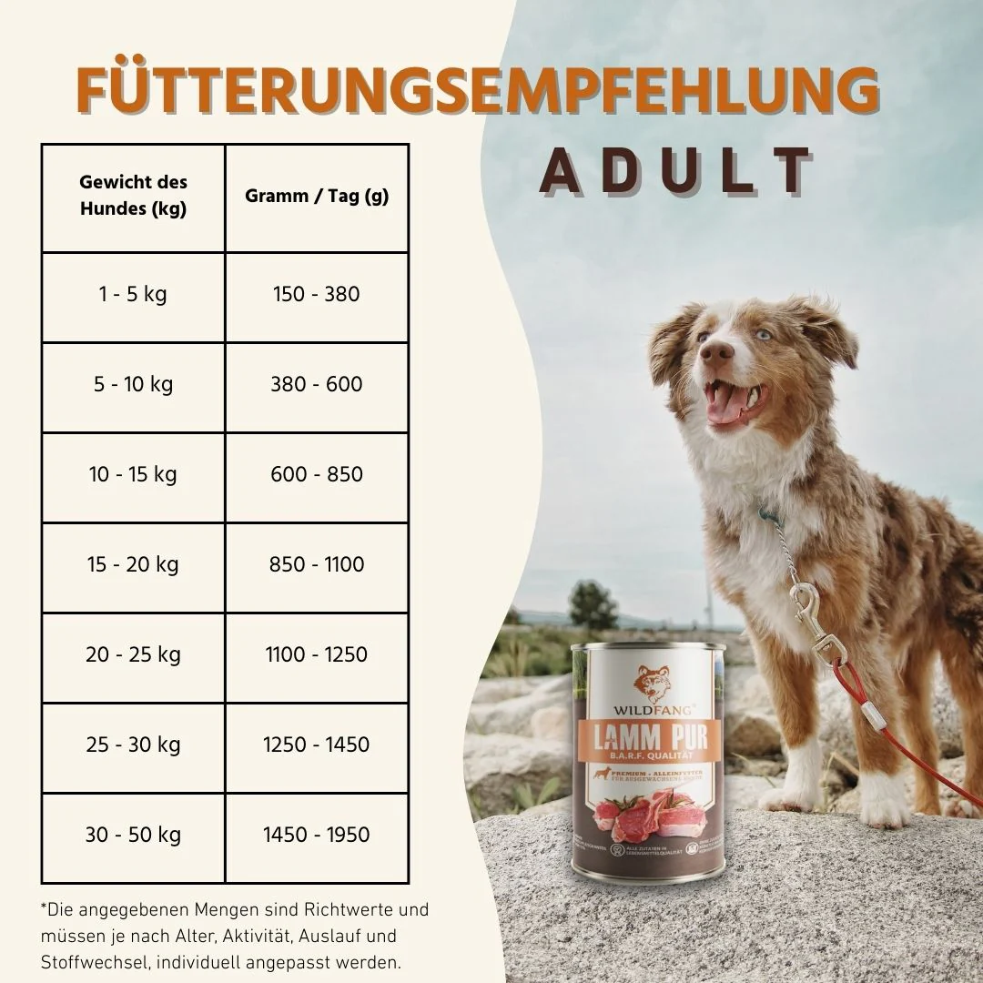 Vorschaubild 64