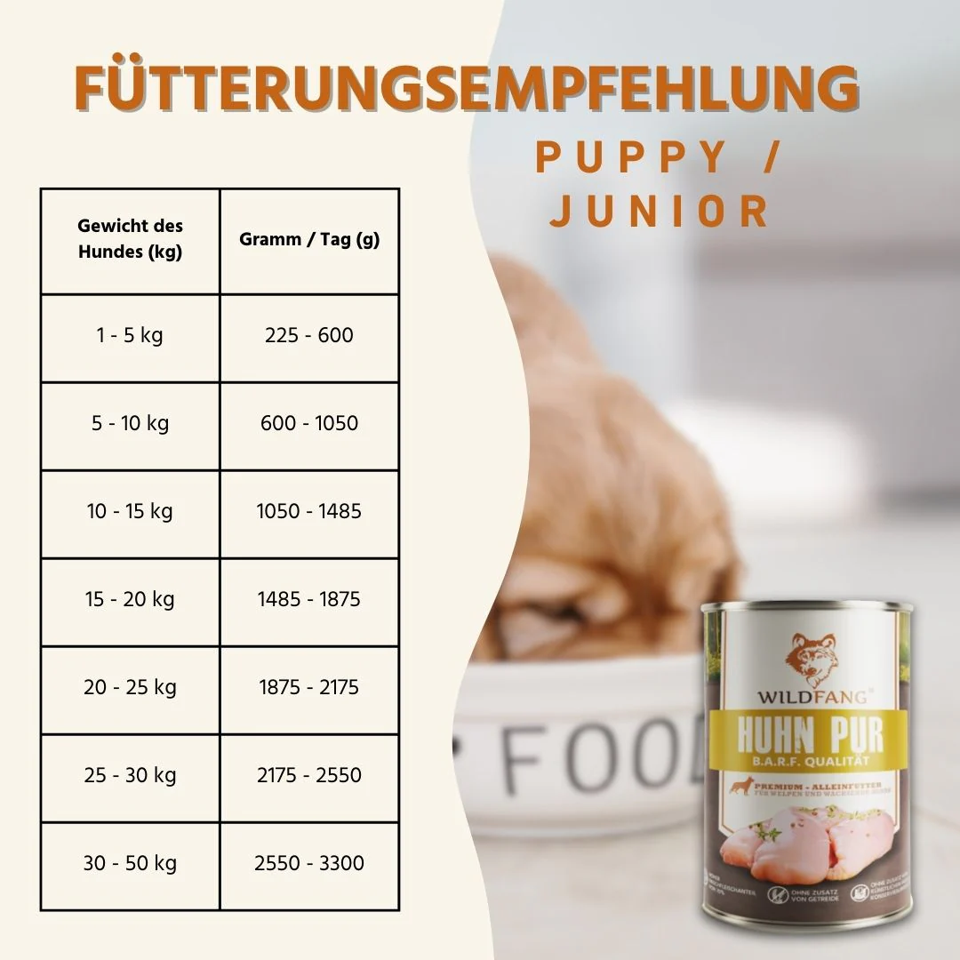 Vorschaubild 79
