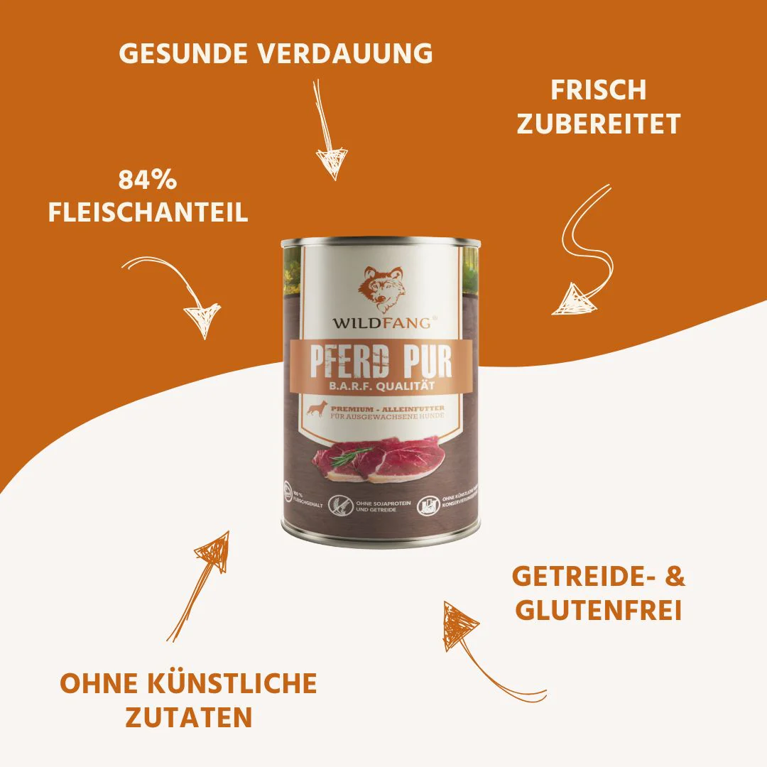 Vorschaubild 13