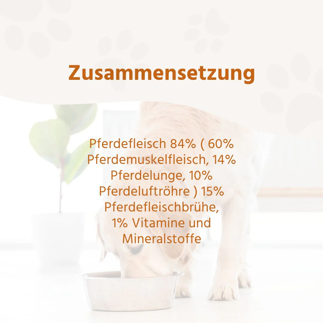 Vorschaubild 22