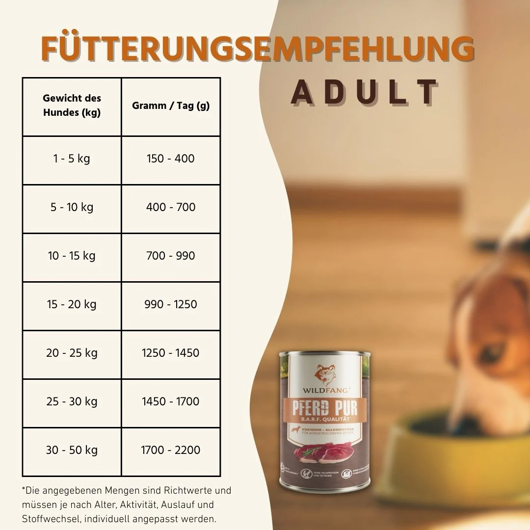 Vorschaubild 25