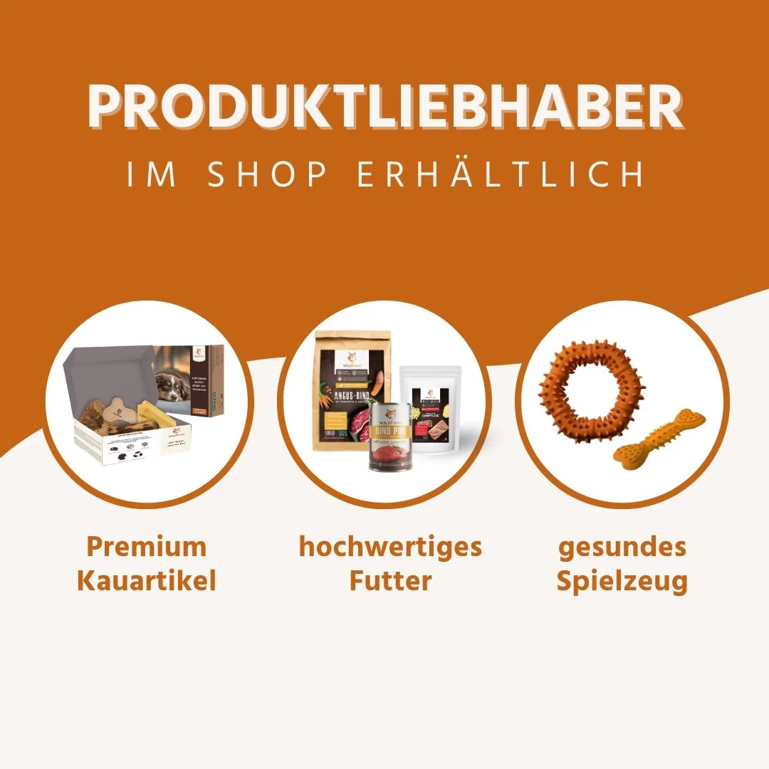 Vorschaubild 27