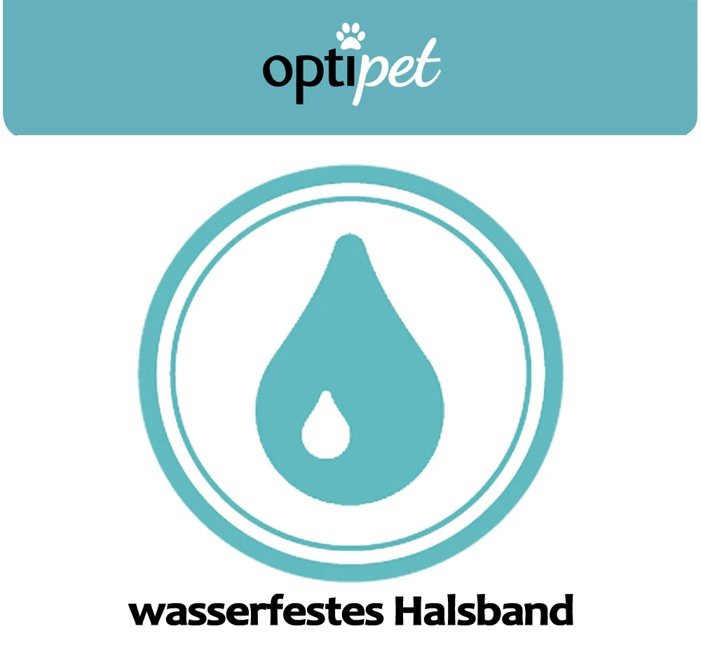 Vorschaubild 13