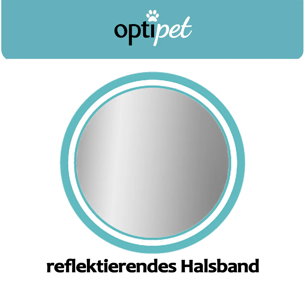Vorschaubild 20