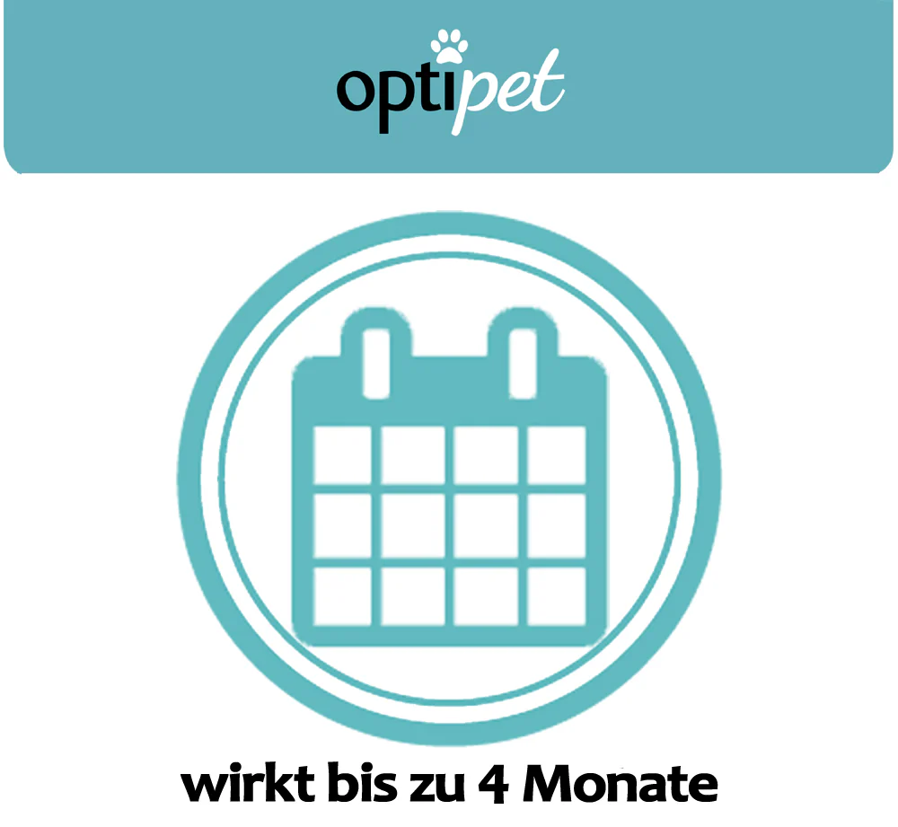 Vorschaubild 21