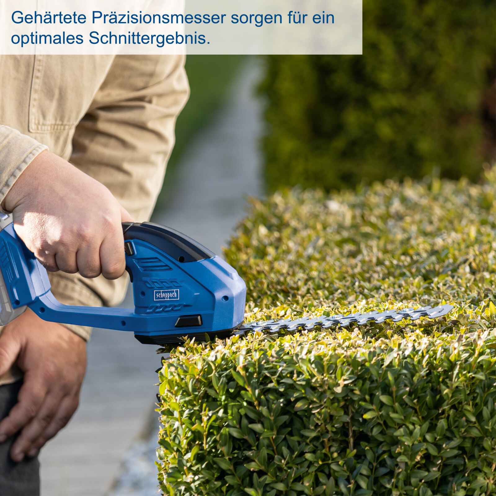 Vorschaubild 5