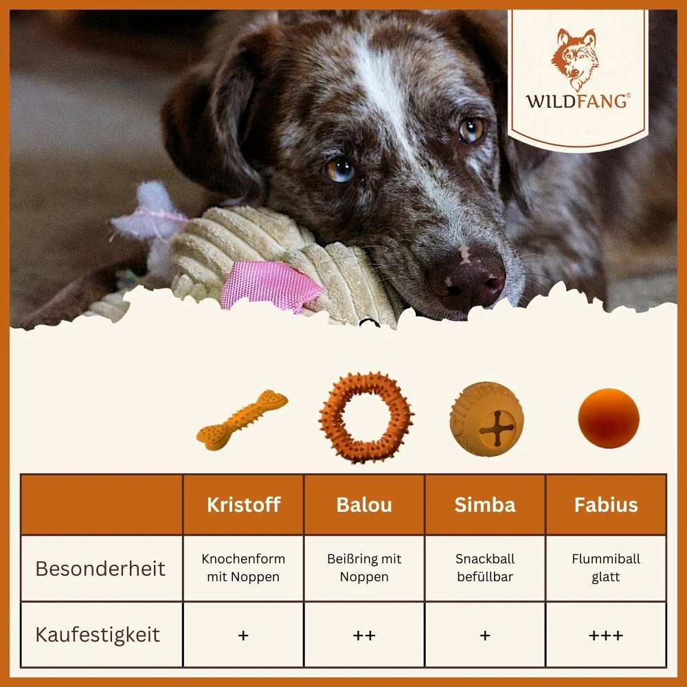 Vorschaubild 7
