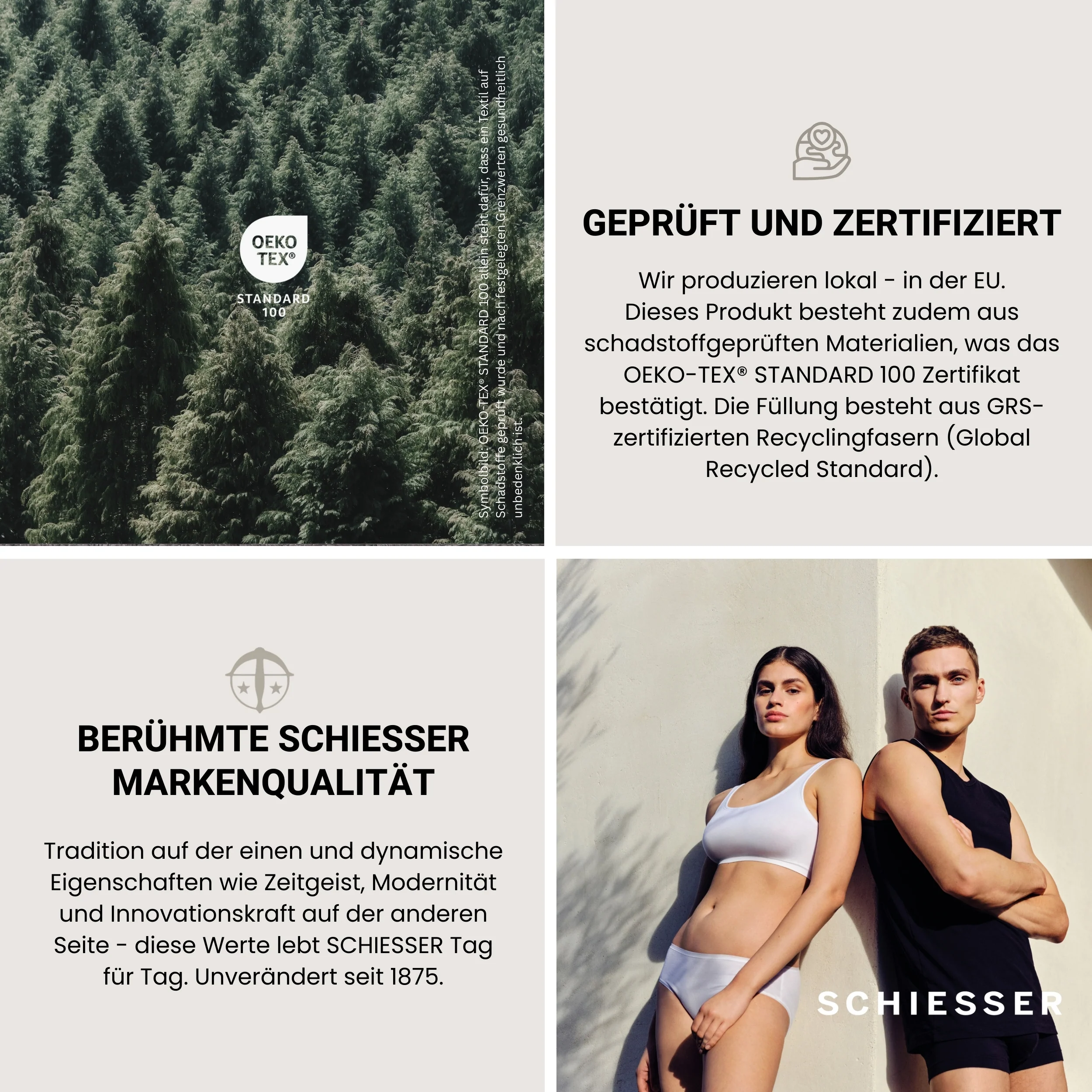Vorschaubild 12