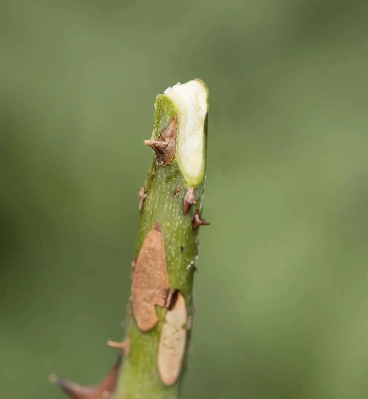 Vorschaubild 9