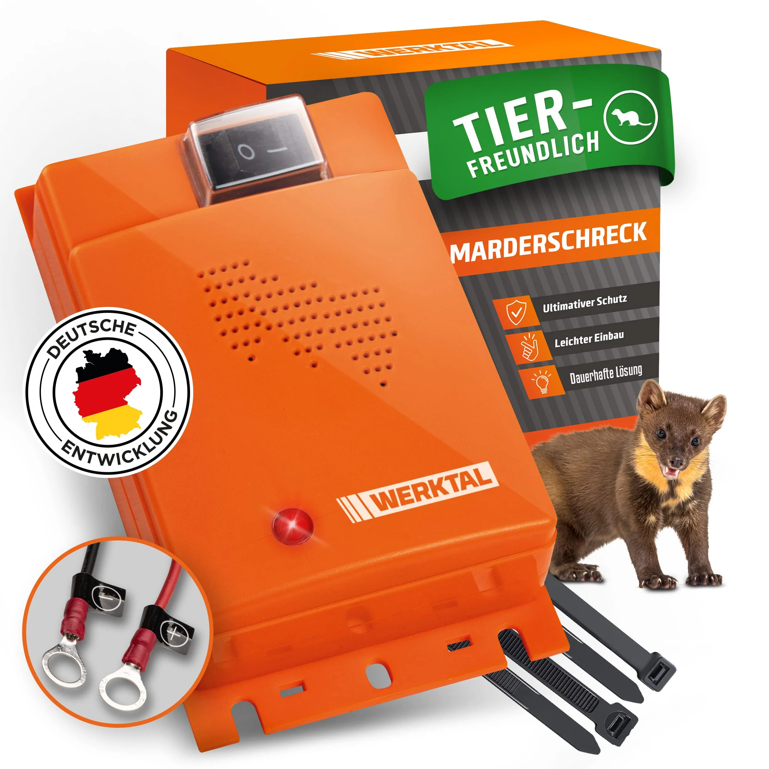 Vorschaubild 6