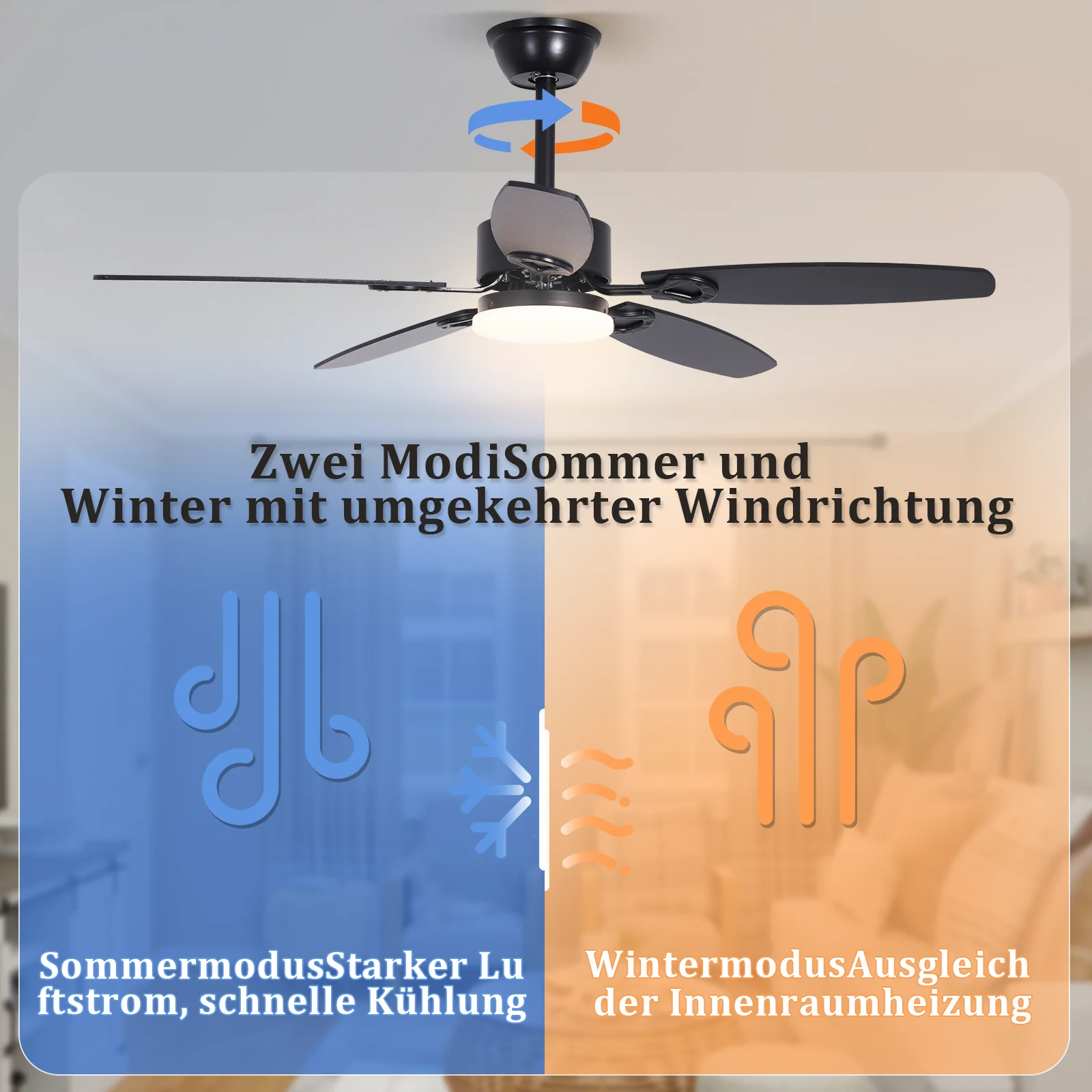 Vorschaubild 7